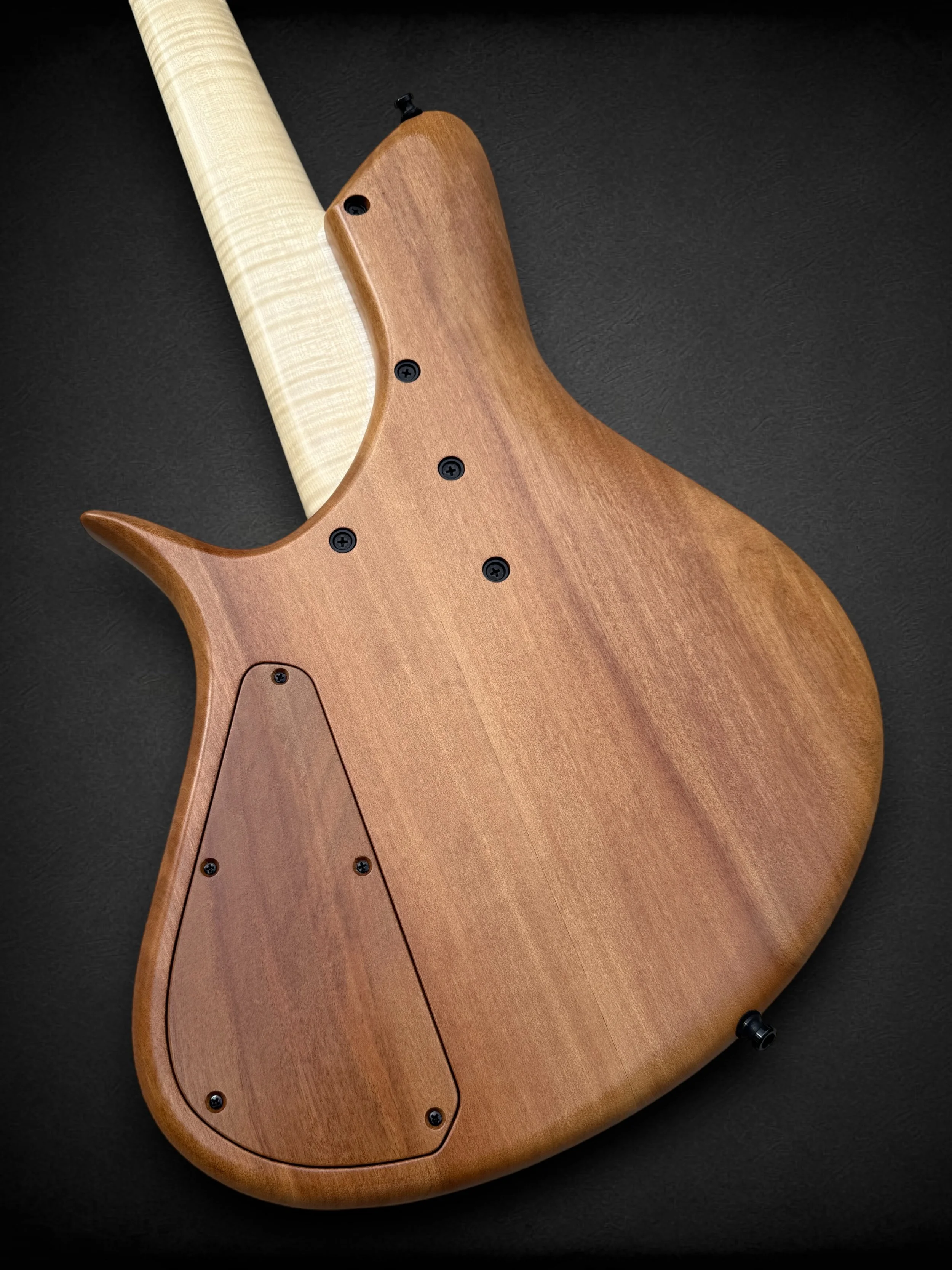 Meridian Horizon 5 Fretless BACK TL-Photoroom.jpg