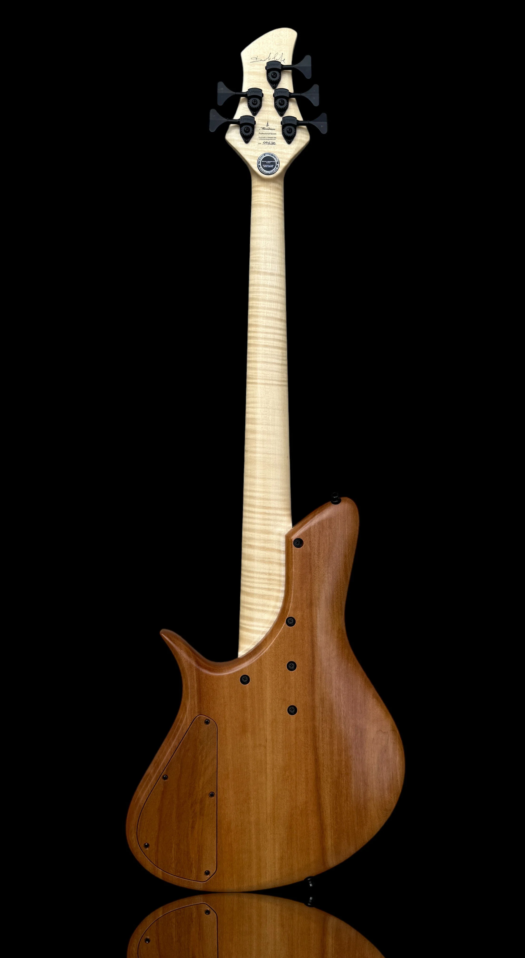 Meridian Horizon 5 Fretless BACK HERO-Photoroom.jpg