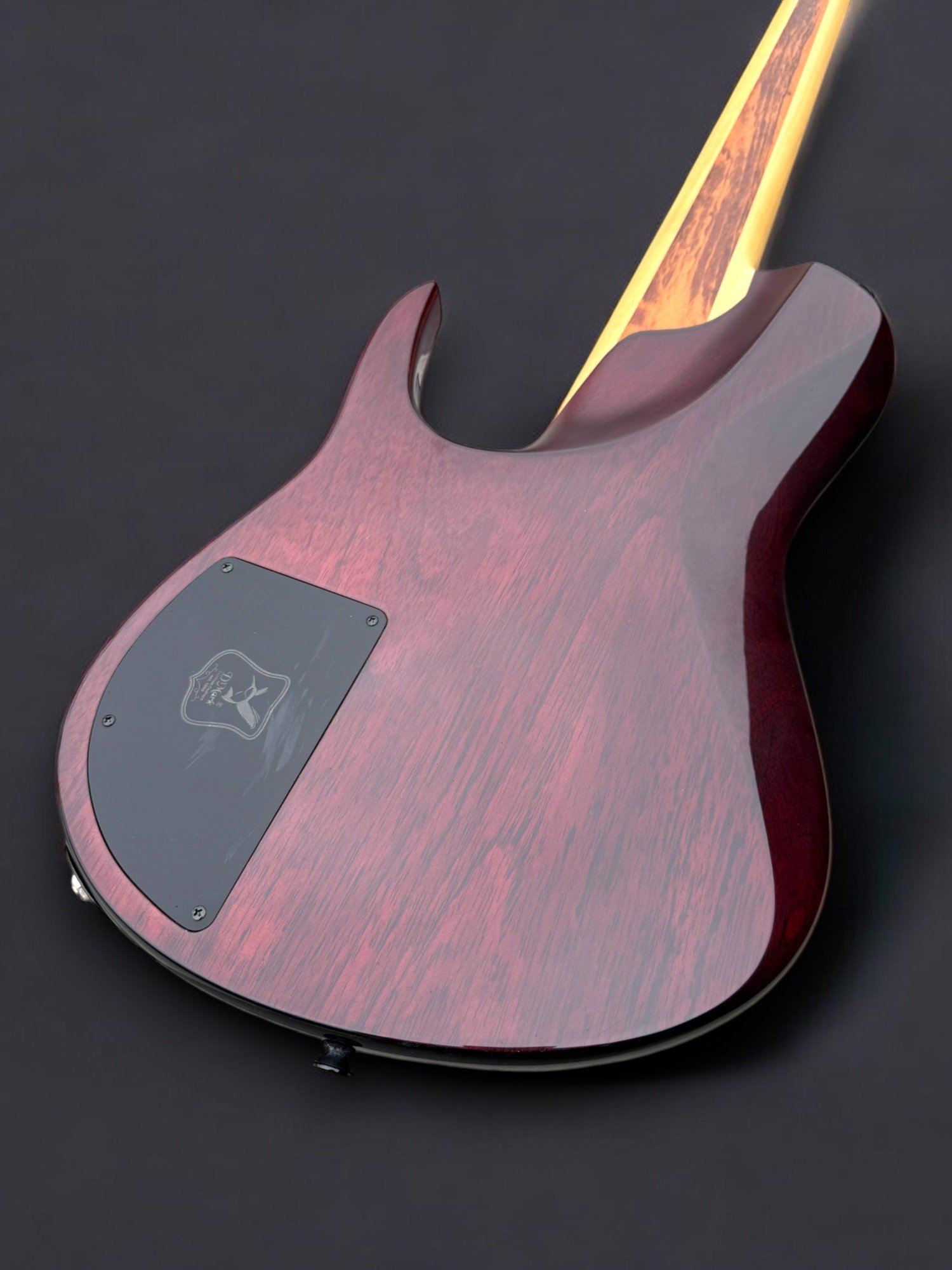 D'Mark Omega 6 Buckeye BACK TILTED R-Photoroom.jpg