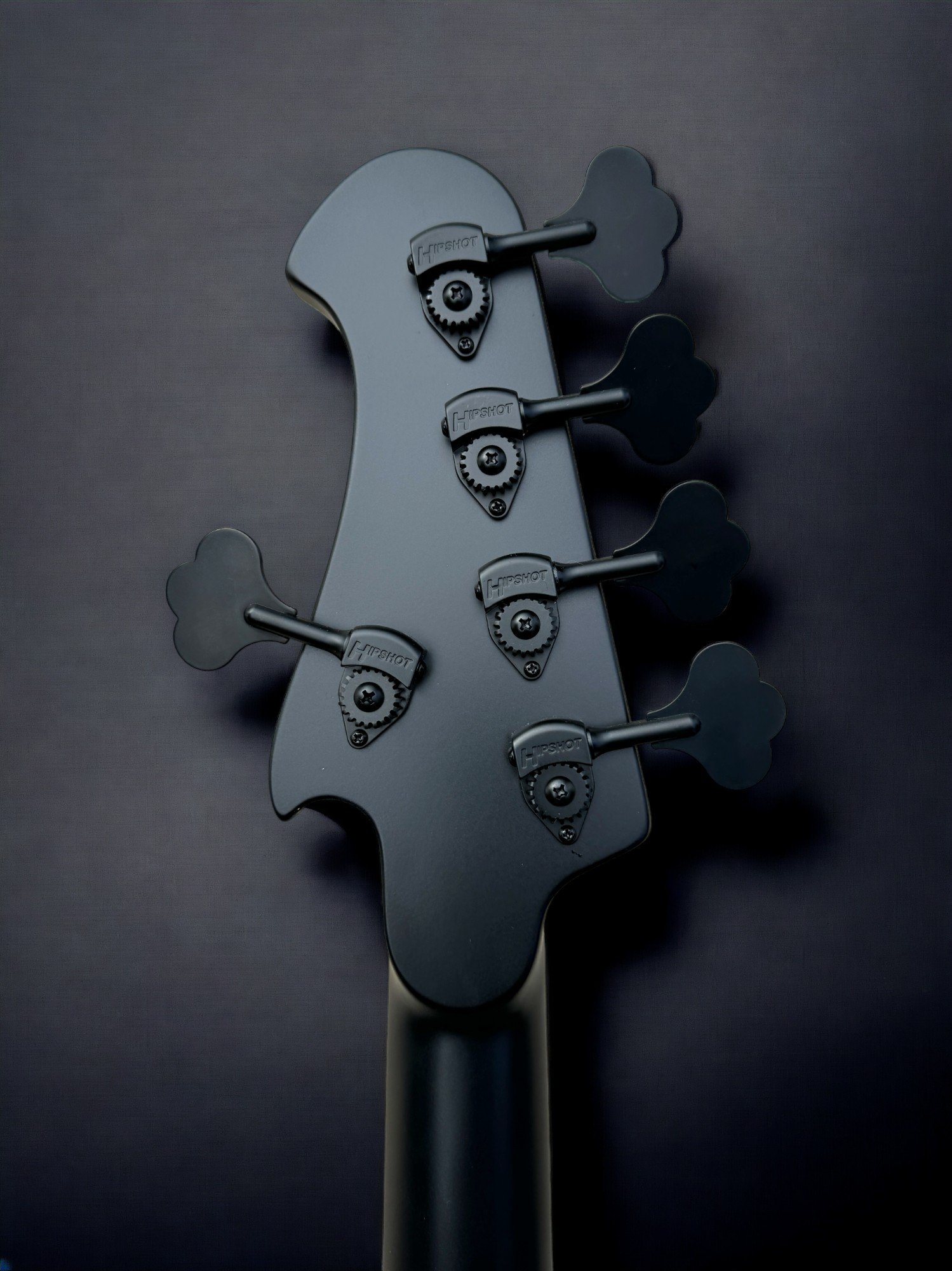 Alusonic Django Supreme 5 Special Edition BACK HEADSTOCK-Photoroom.jpg