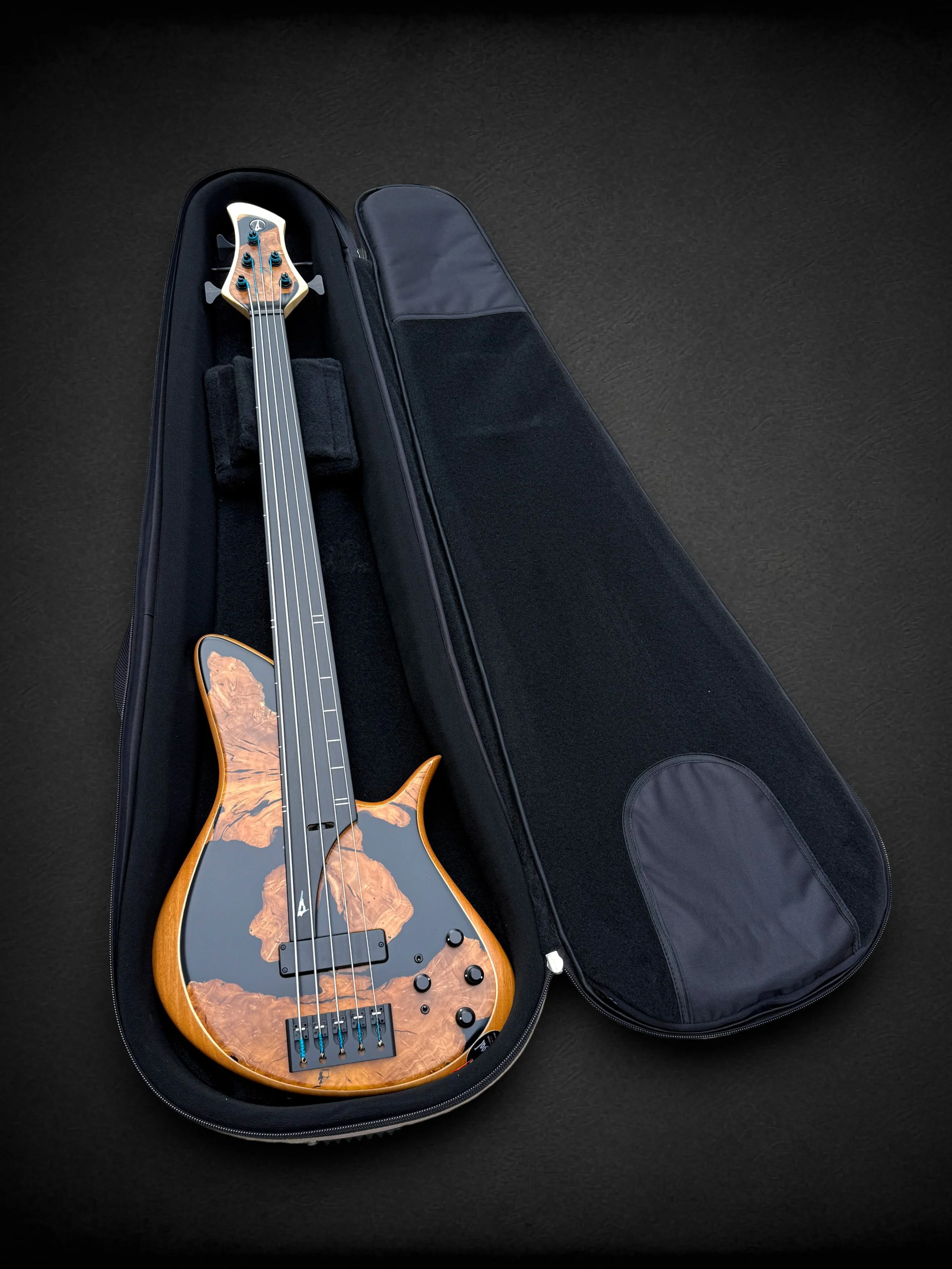 Meridian Horizon 5 Fretless IN CASE-Photoroom.jpg