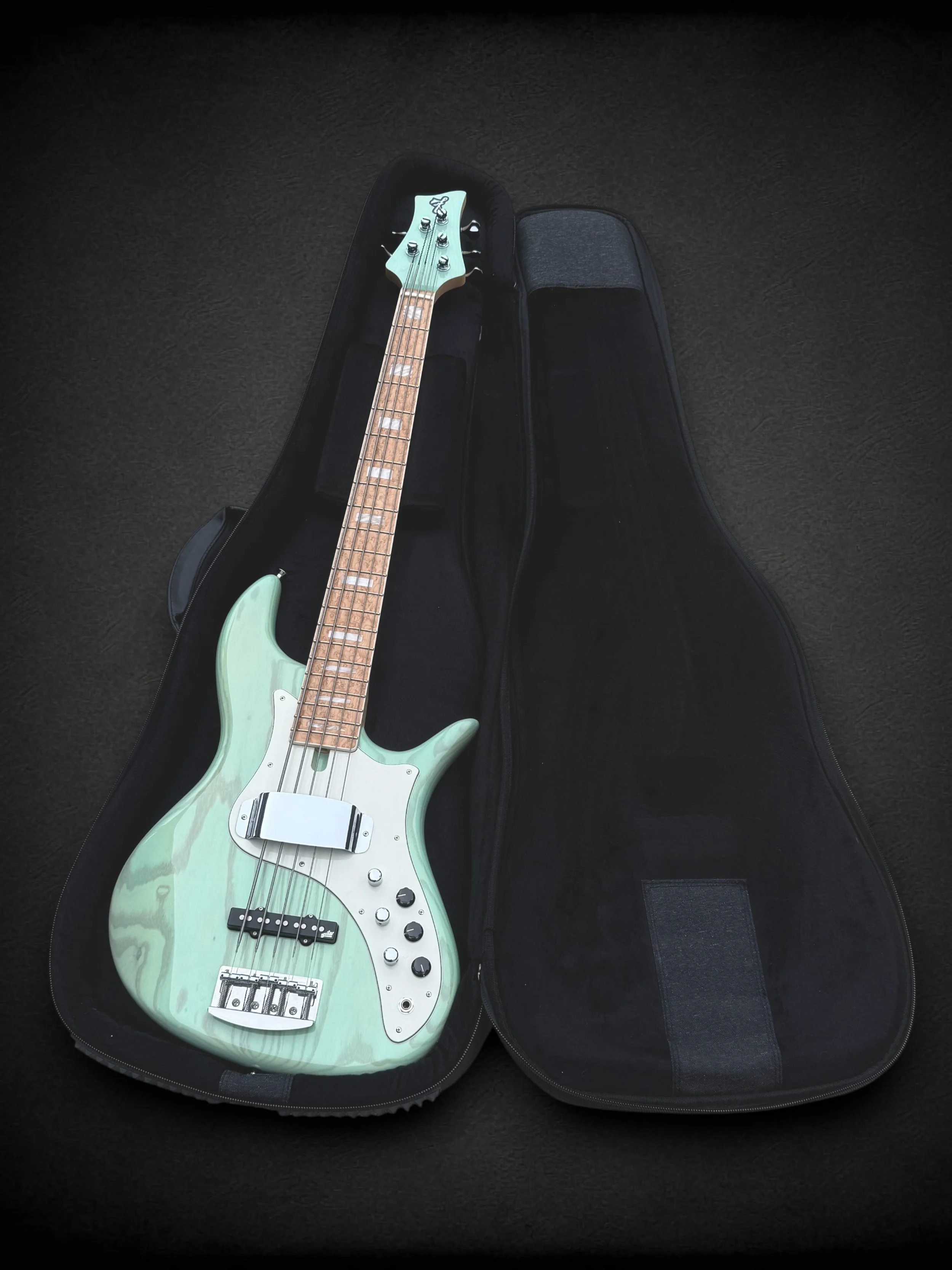 F Bass VF-5 IN CASE-Photoroom.jpg