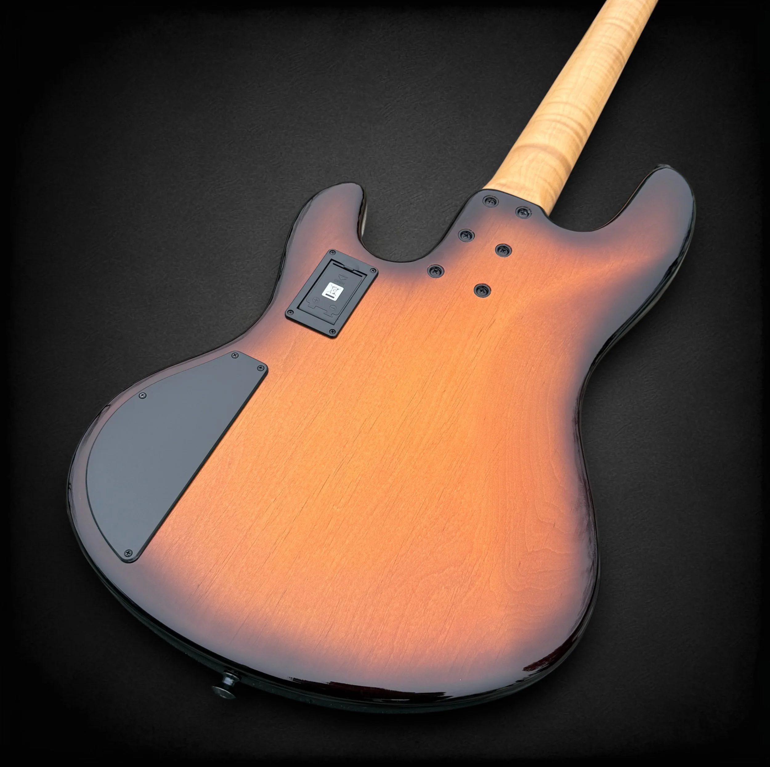 Sandberg Custom 4 BACK TR-Photoroom.jpg