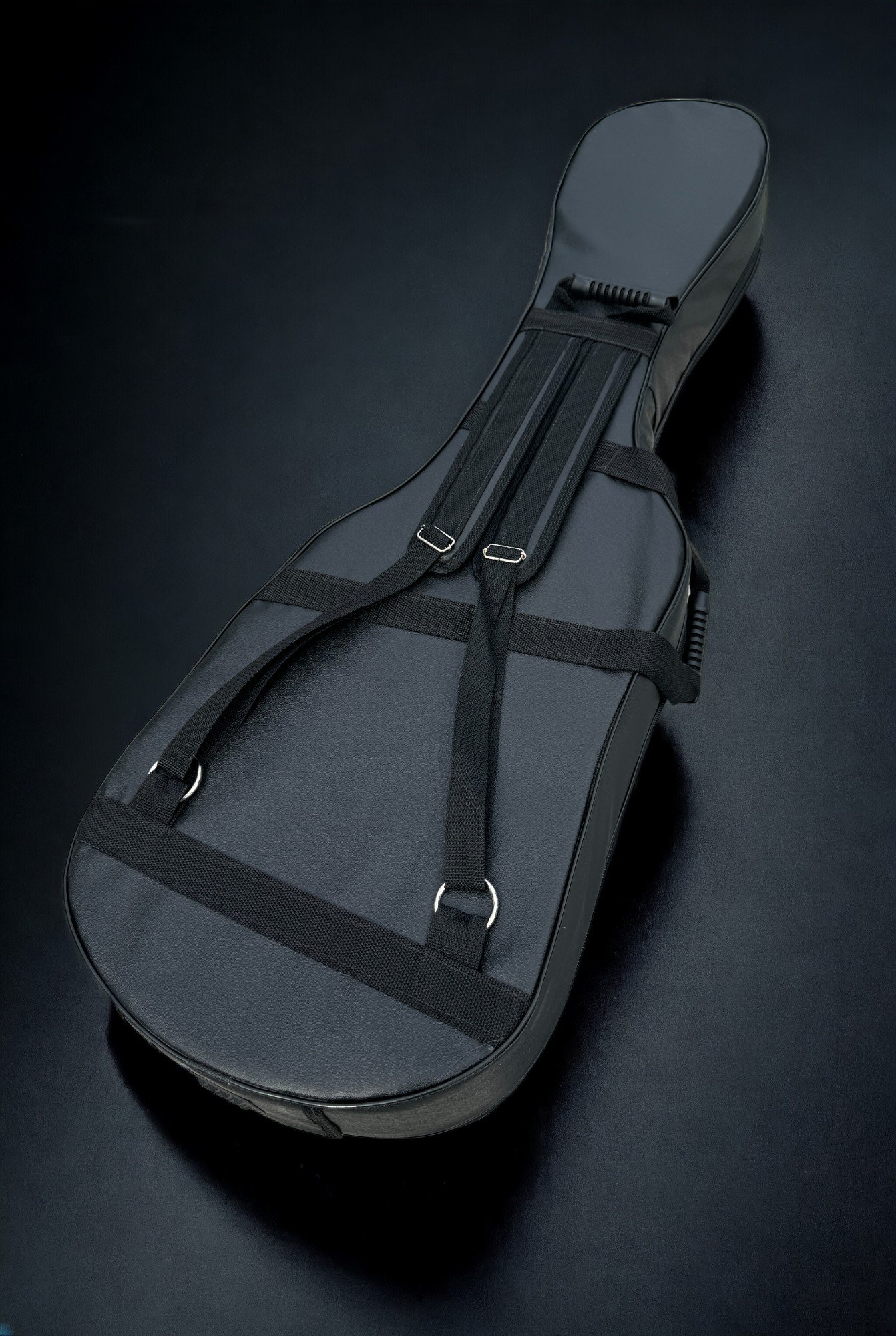 D'Mark Alpha 5 Blue Pioppo CASE BACK-Photoroom.jpg