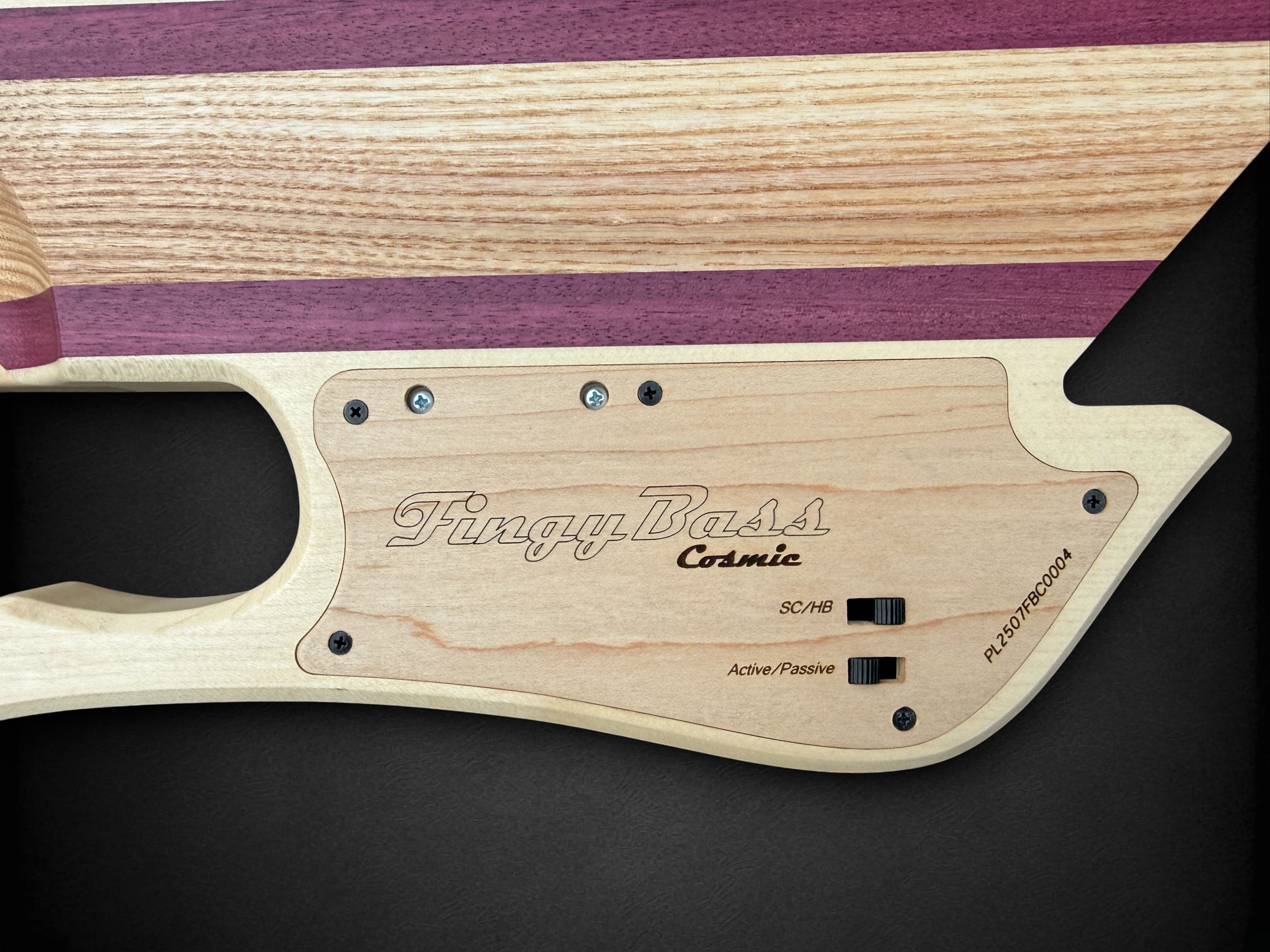 Fingy Bass Multiscale 6 Burled Walnut BACK CONTROLS-Photoroom.jpg