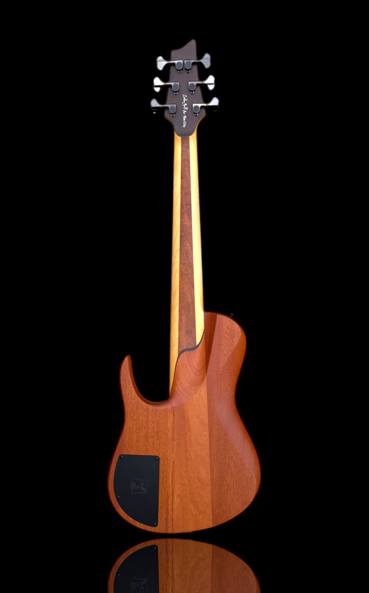 D' Mark Omega 6 Muiracataria BACK HERO-Photoroom.jpg