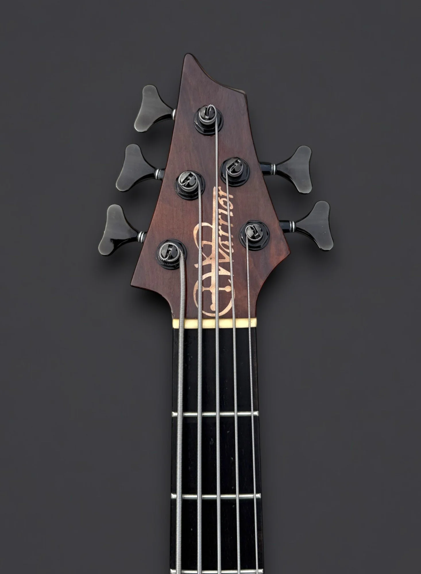 Warrior DM 5 FRONT HEADSTOCK-Photoroom.jpg
