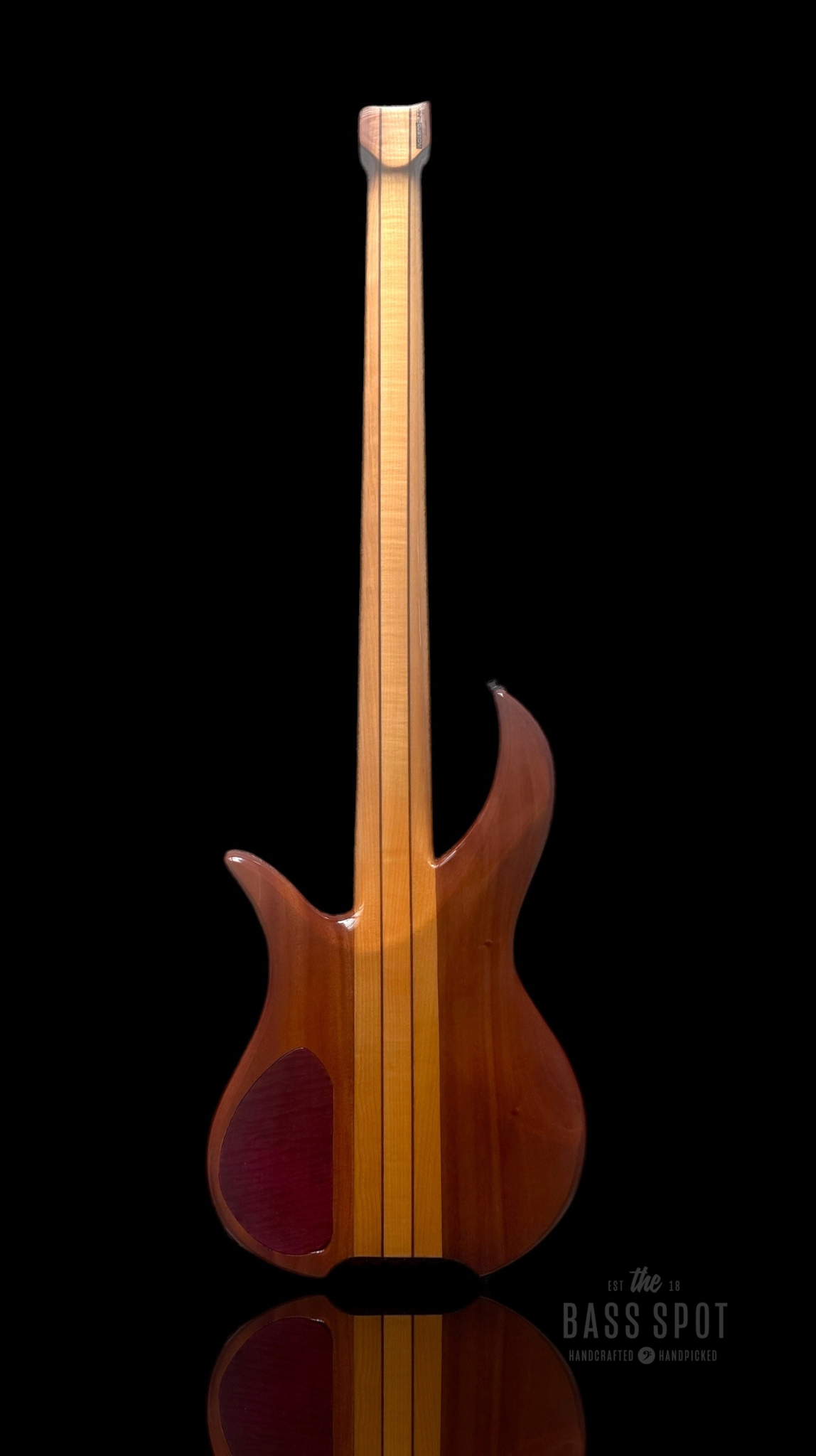 Untitled design 6.PNG