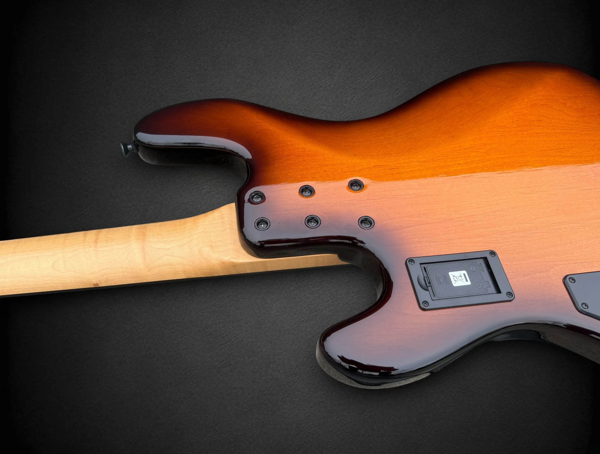 Sandberg Custom 4 BACK NJ-Photoroom.jpg