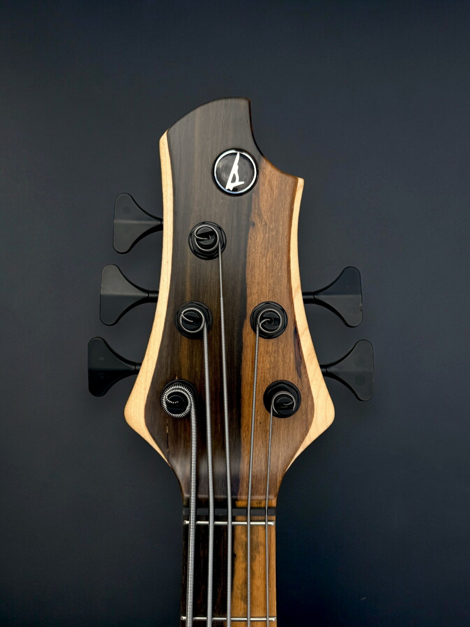 Meridian Mojo II FRONT HEADSTOCK-Photoroom.jpg