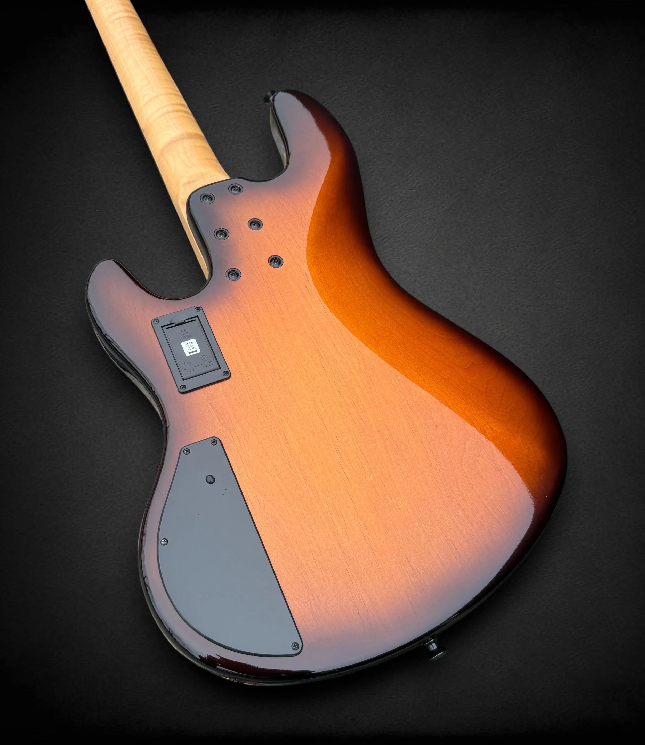 Sandberg Custom 4 BACK TL-Photoroom.jpg