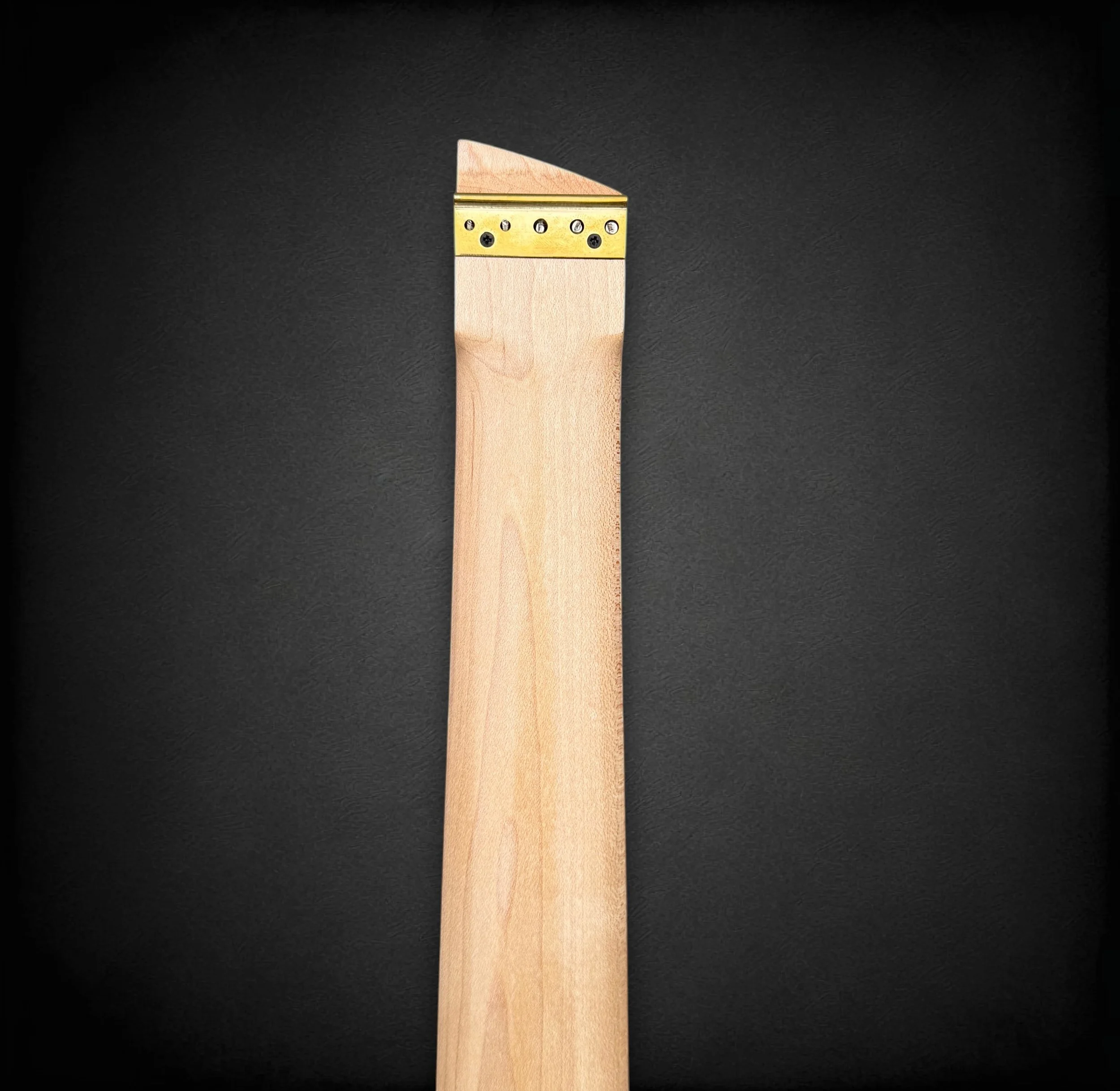 MUB CUSTOM Airborne Raintree BACK HS-Photoroom.jpg