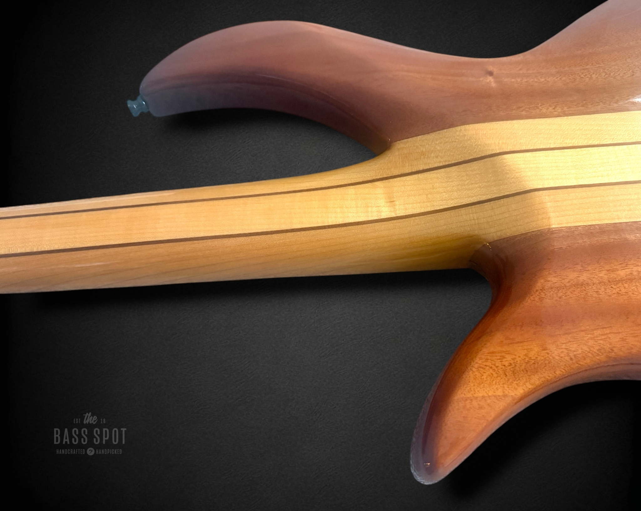 Untitled design 8.PNG