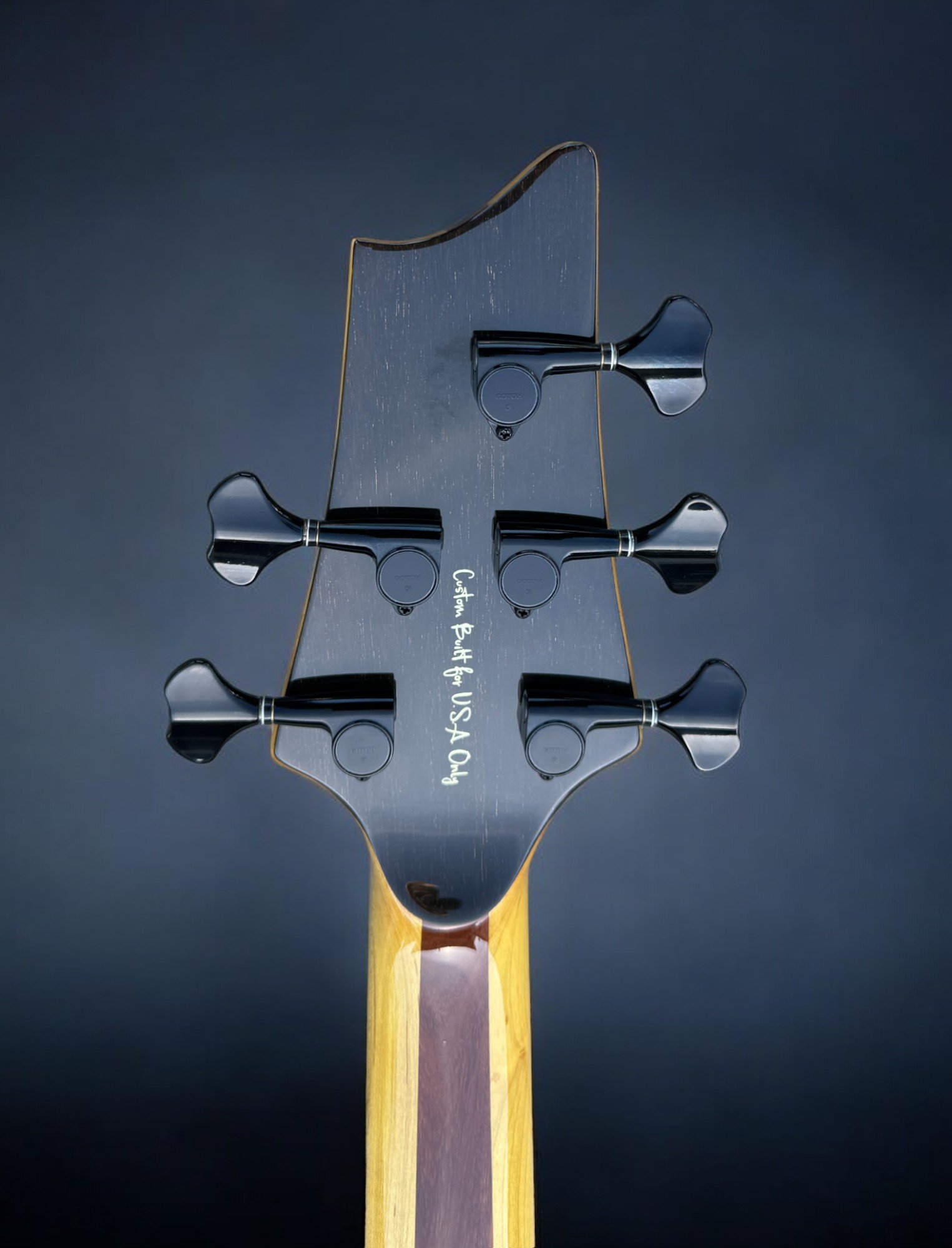 D'Mark Omega 5 Exotic Imbuia BACK HEADSTOCK-Photoroom.jpg