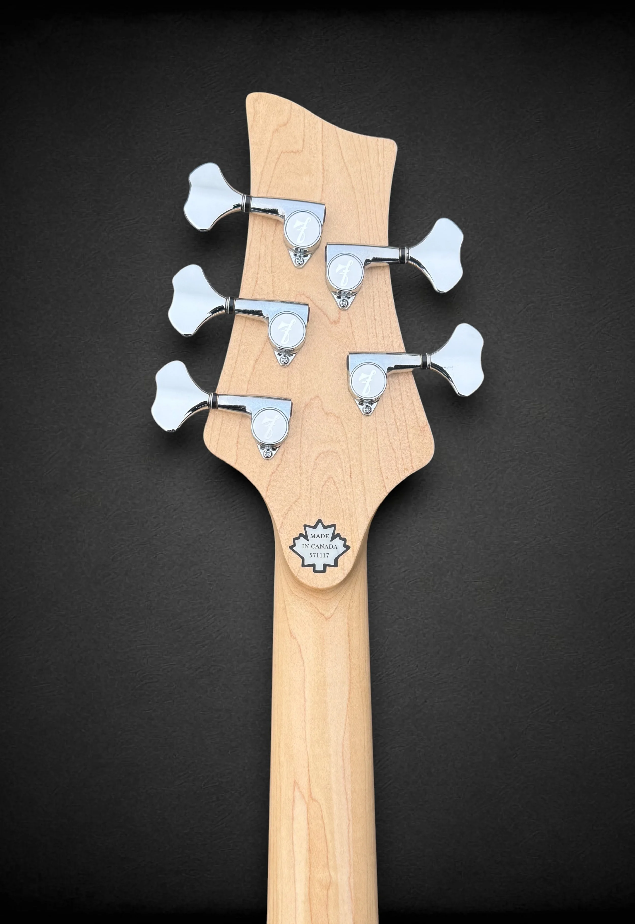 F Bass VF-5 BACK HS-Photoroom.jpg