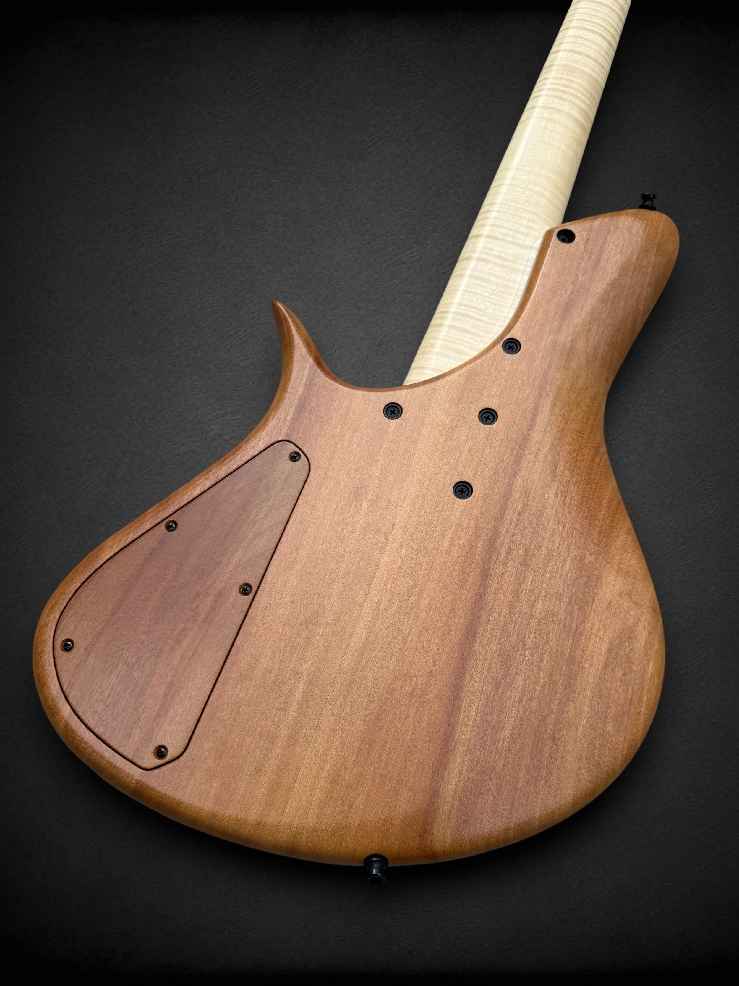 Meridian Horizon 5 Fretless BACK TR-Photoroom.jpg