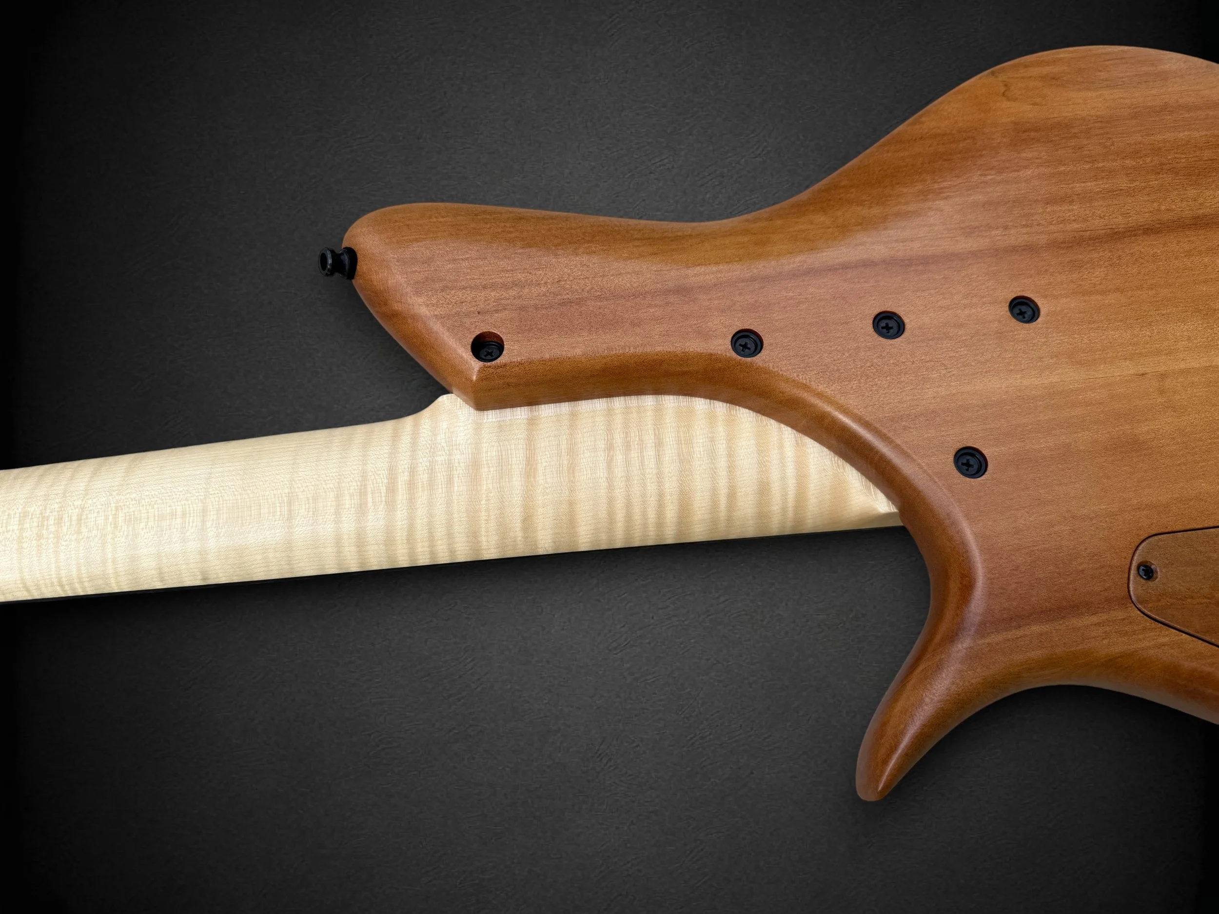 Meridian Horizon 5 Fretless BACK NECK JOINT-Photoroom.jpg