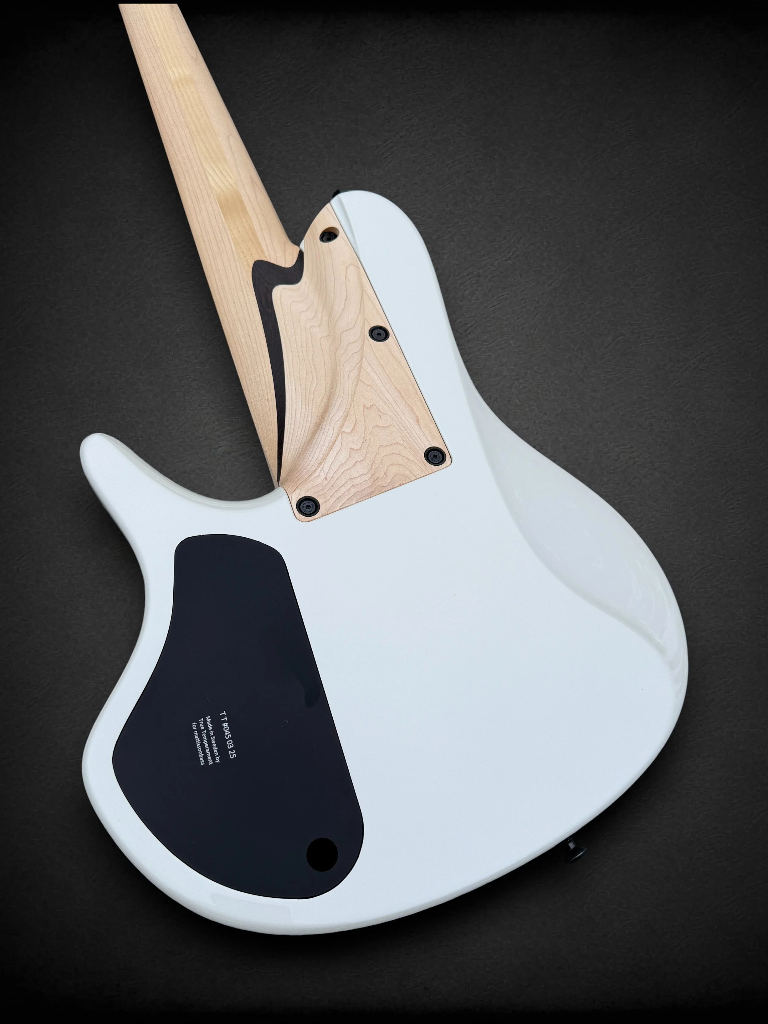 Mattisson HL-6 White BACK TL-Photoroom.jpg