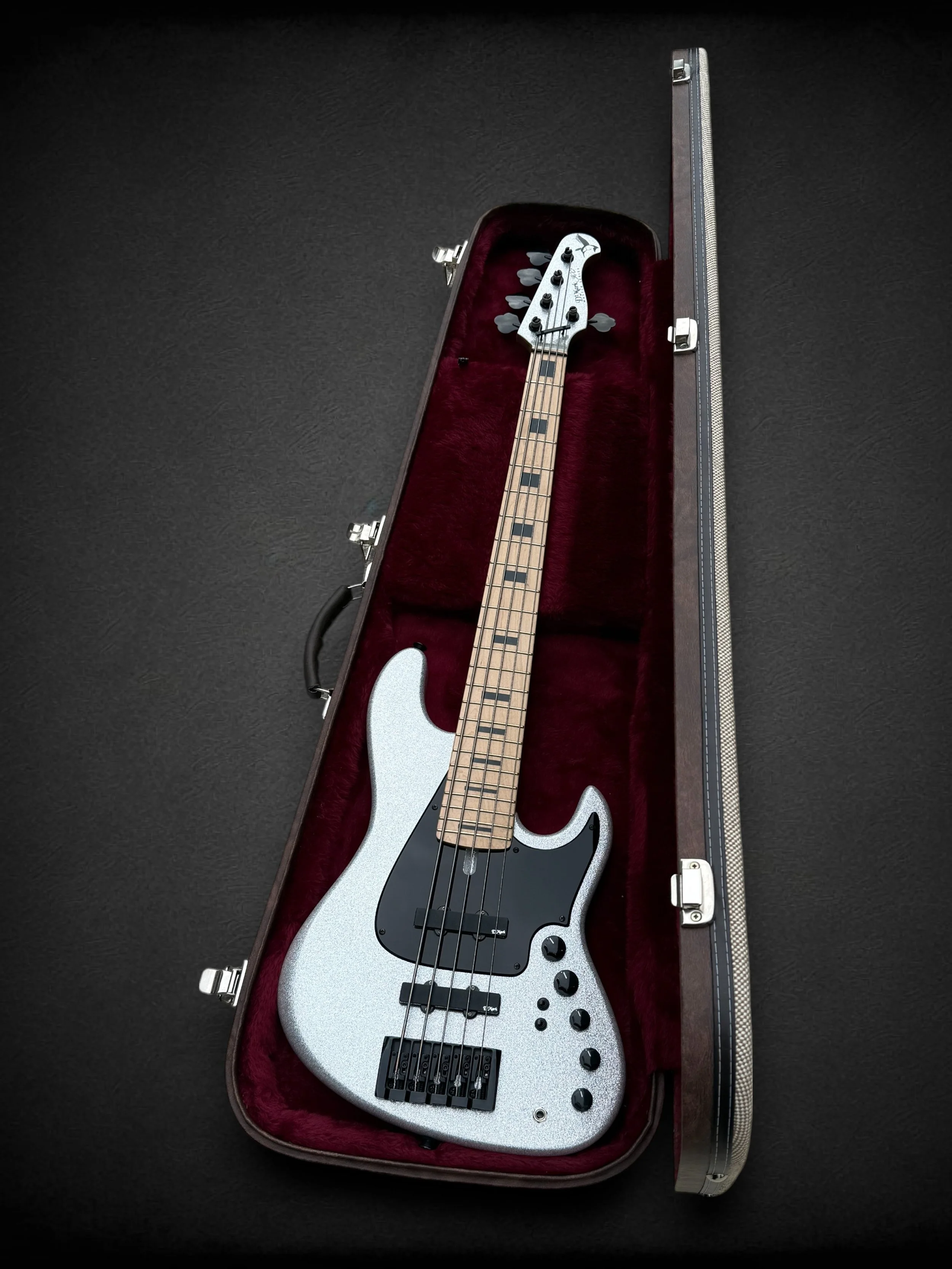 D’Mark JB X7 5 Silver Flake IN CASE-Photoroom.jpg