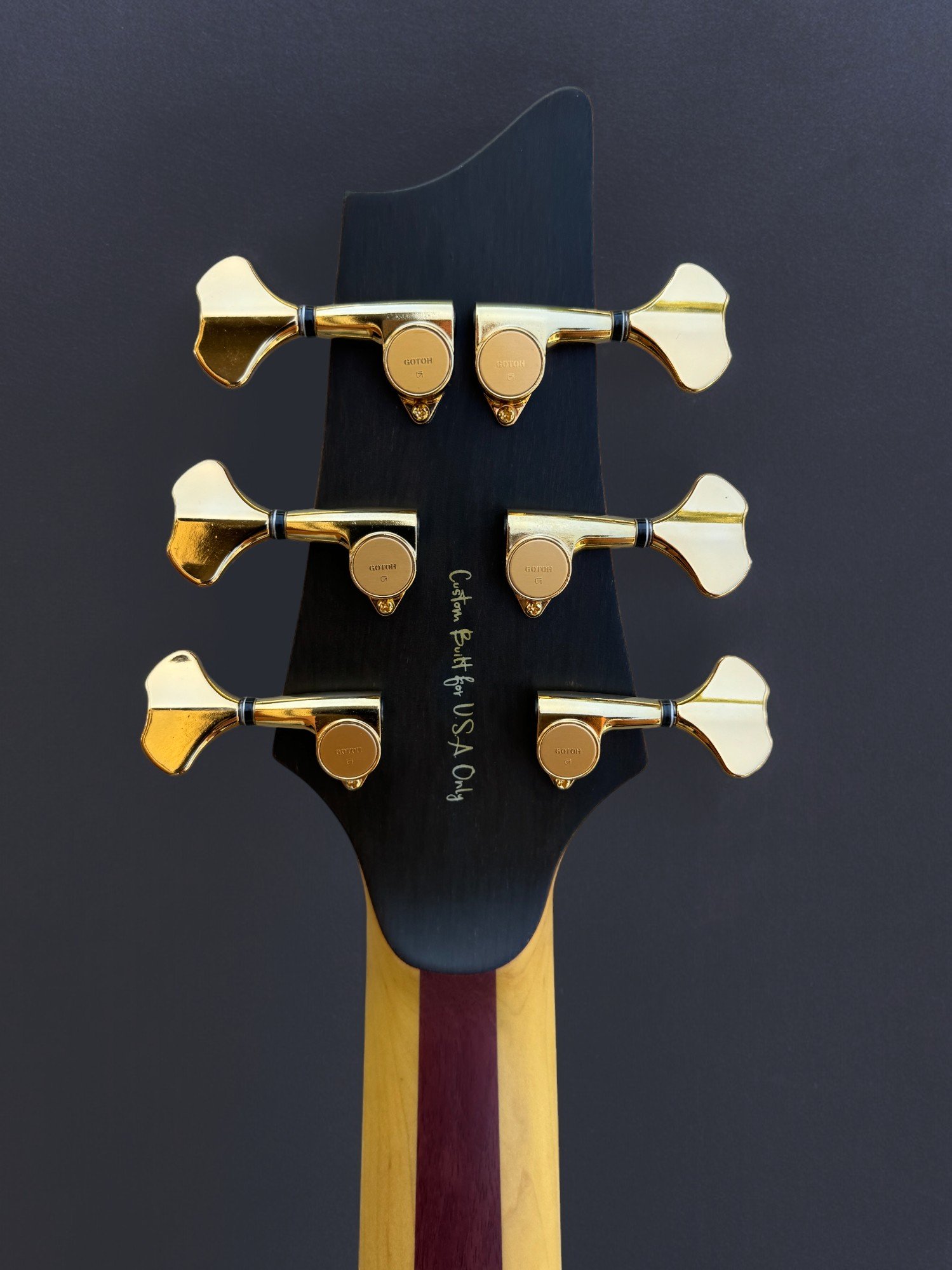 D'Mark Alpha 6 Exotic Imbuia BACK HEADSTOCK-Photoroom.jpg