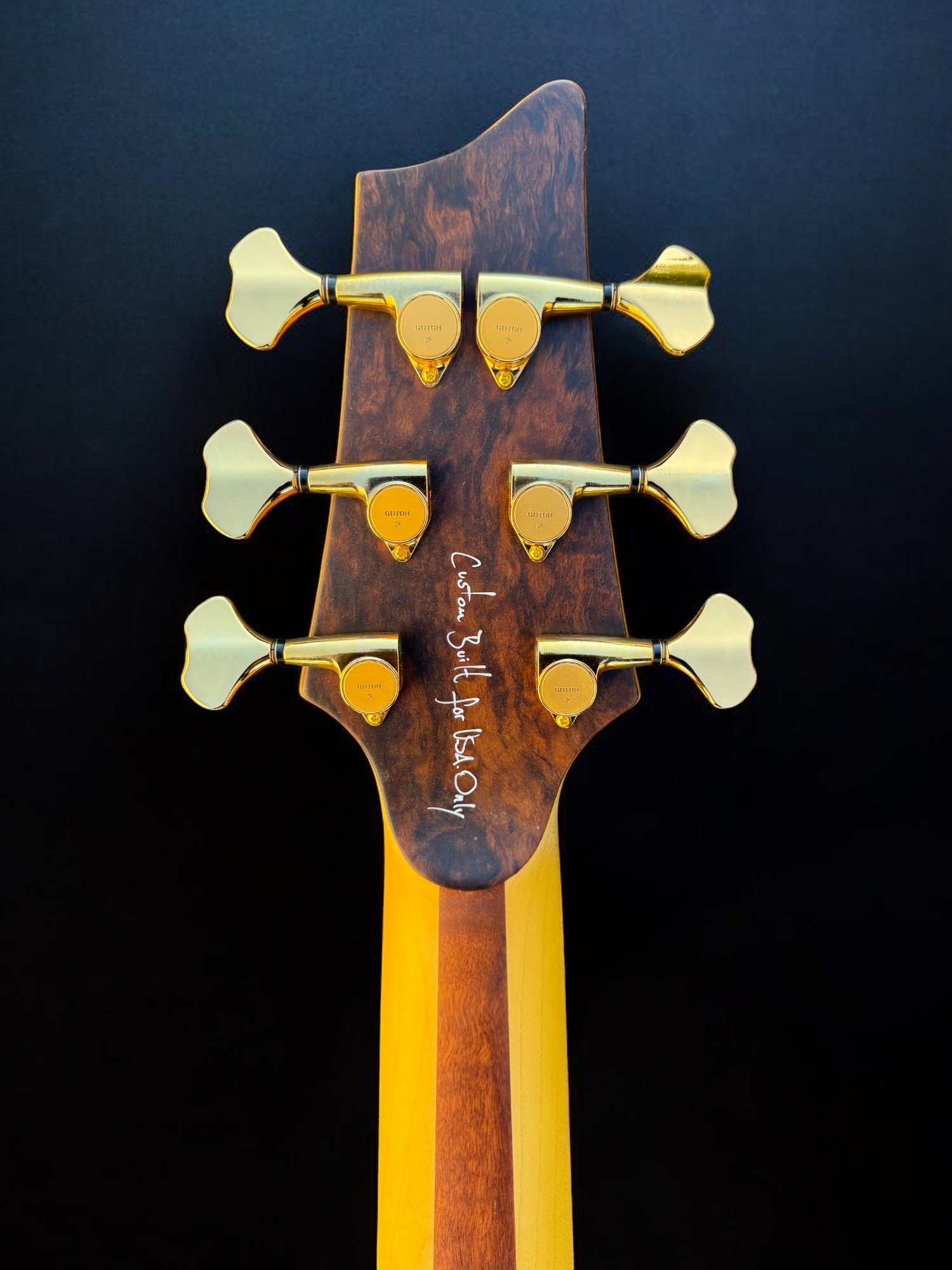 D'Mark Omega 6 Black HEADSTOCK BACK-Photoroom.jpg