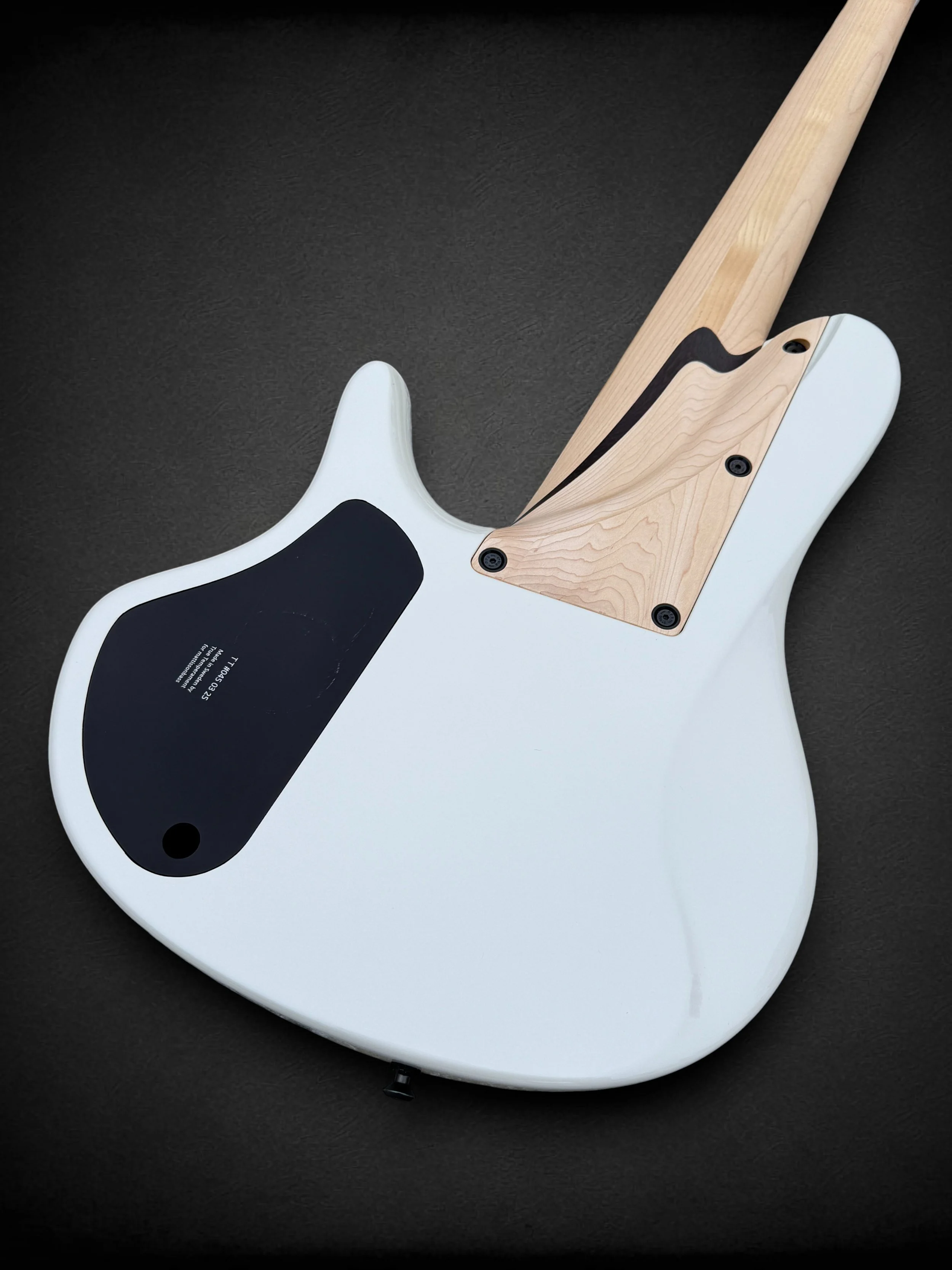 Mattisson HL-6 White BACK TR-Photoroom.jpg