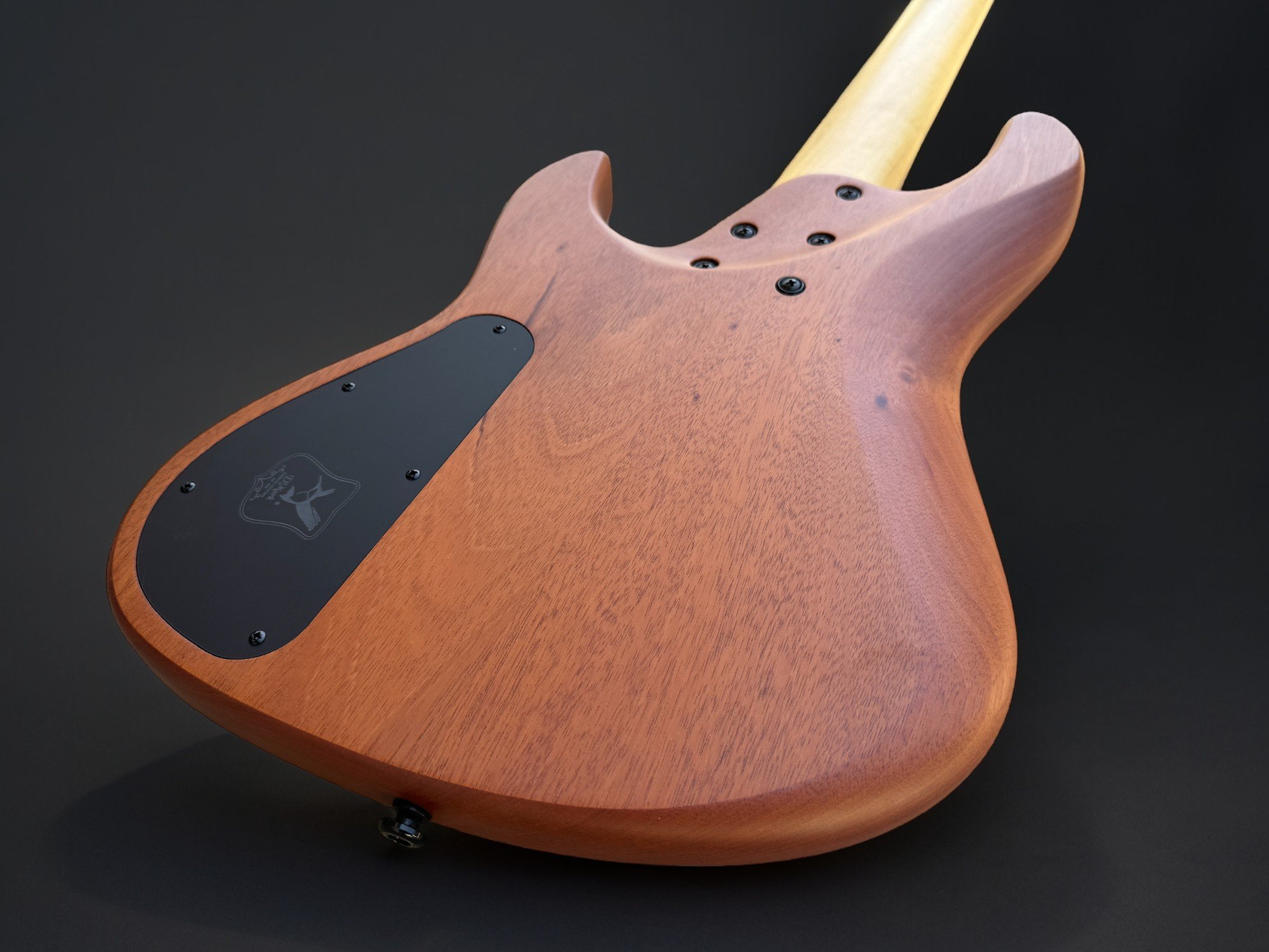 D'Mark JB X8 Exotic Noguiera 5 BACK TILTED R-Photoroom.jpg