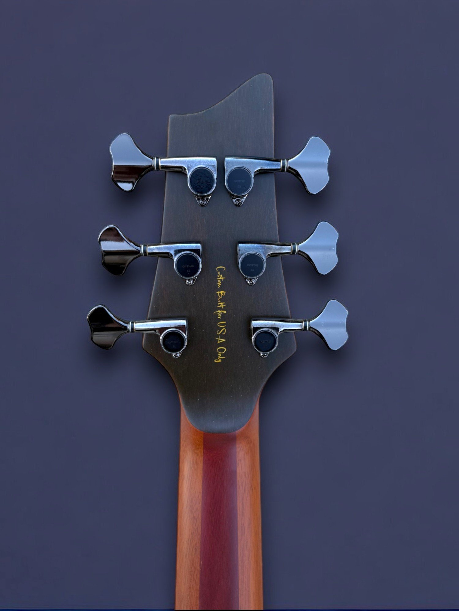 D'Mark Alpha 6 Curly Maple BACK HEADSTOCK-Photoroom.jpg