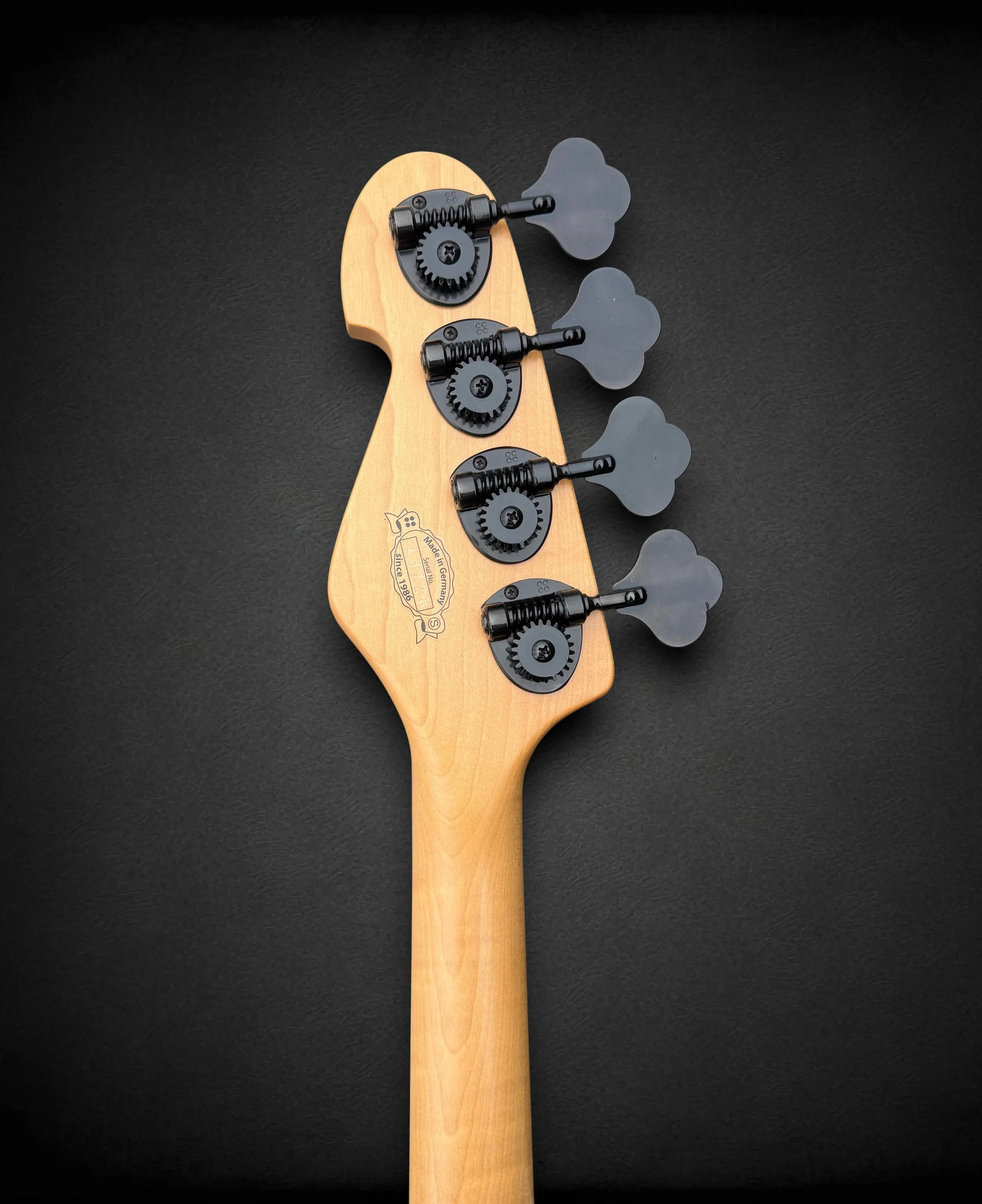 Sandberg Custom 4 BACK HS-Photoroom.jpg