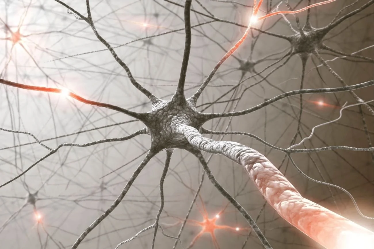 Neurotoxic effects of chemotherapy drugs