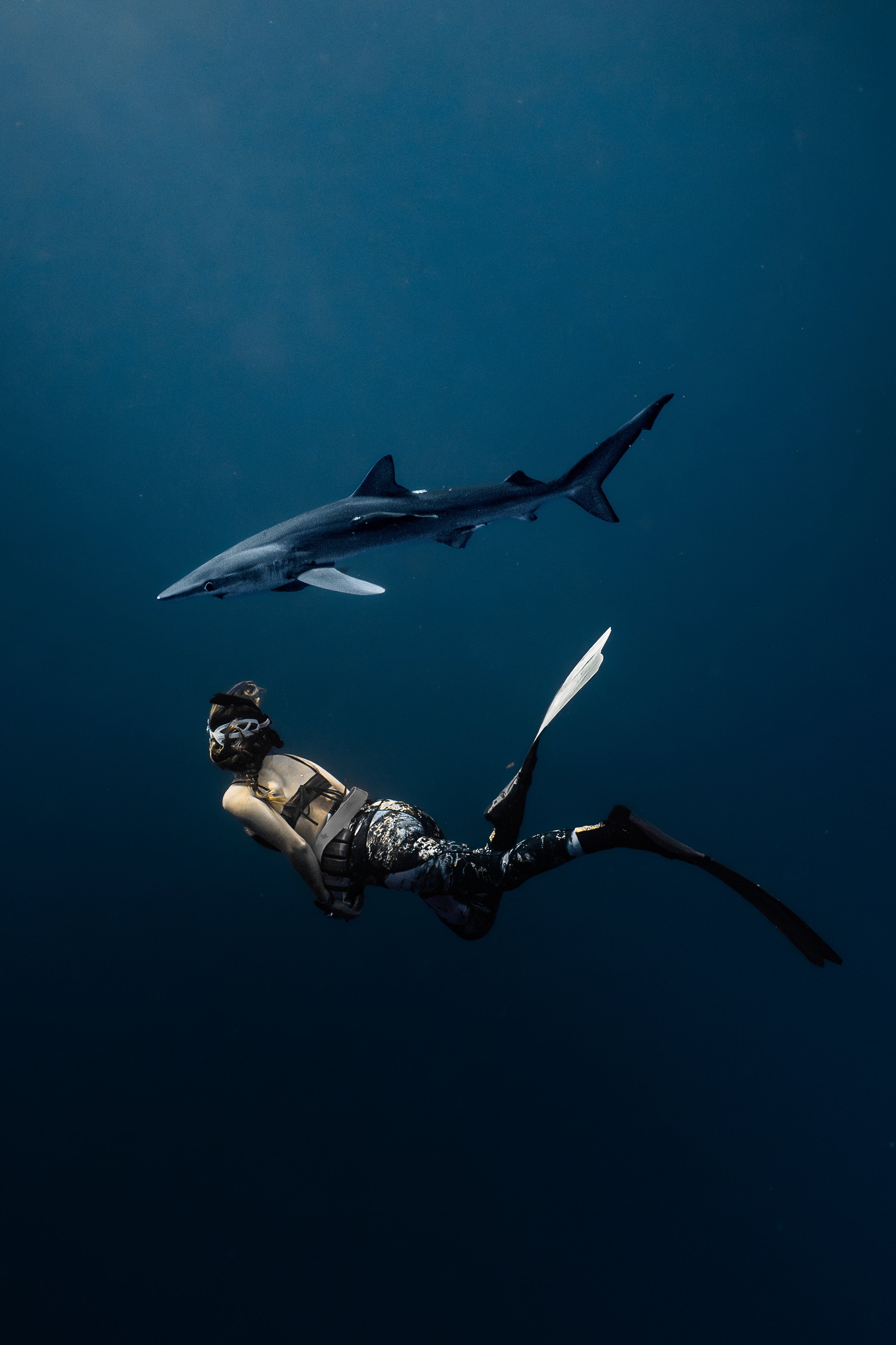 jan23sharkss-32.jpg