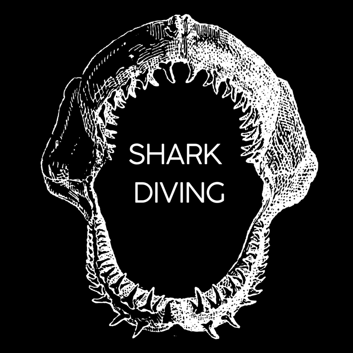 Shark Diving Day Trip