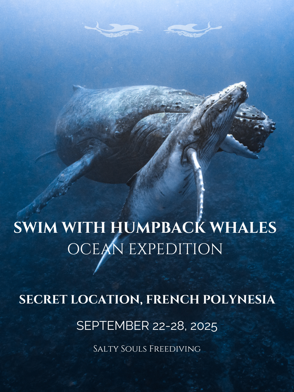 Humpback Whales Expedition Deposit