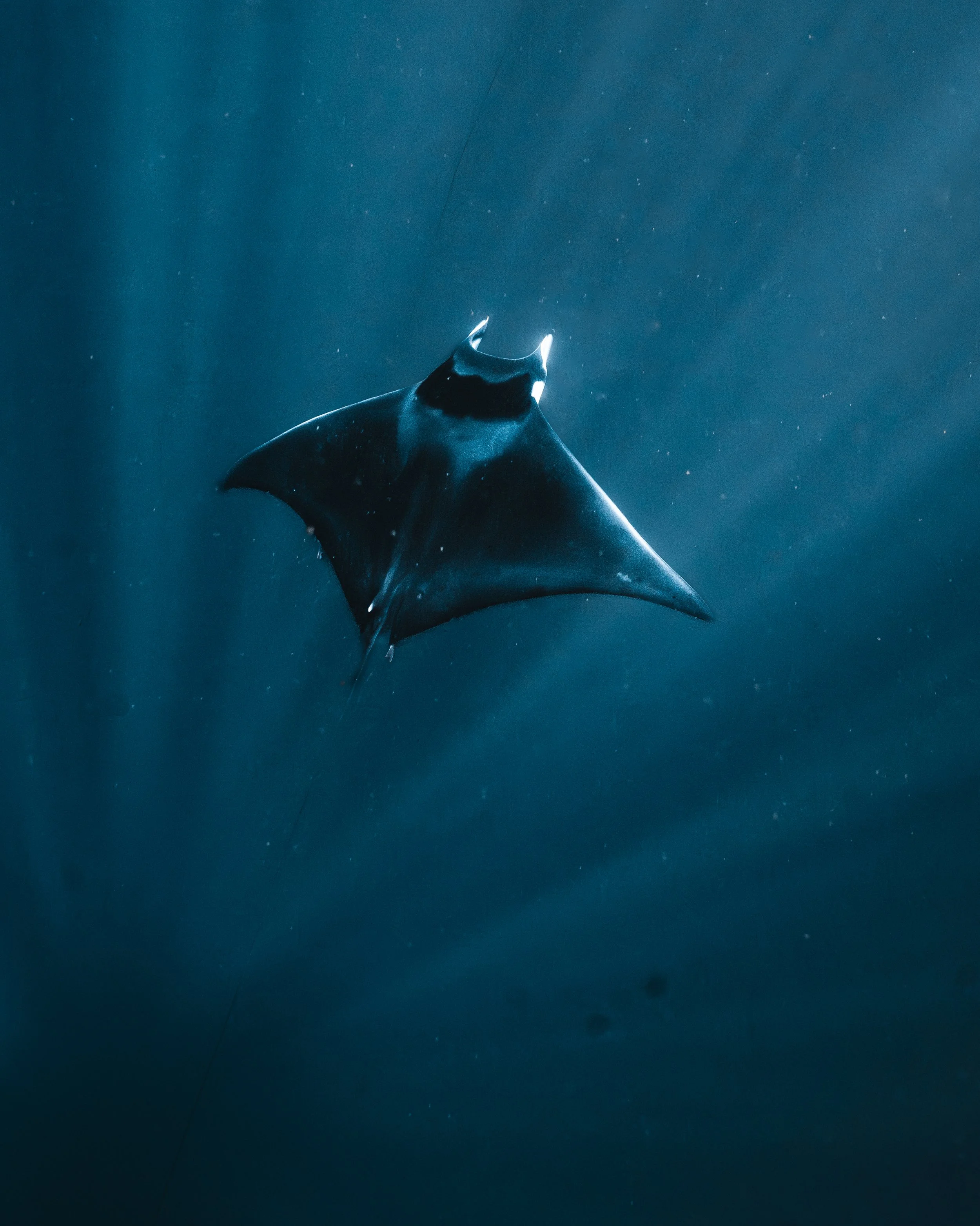seasafari-39.jpg