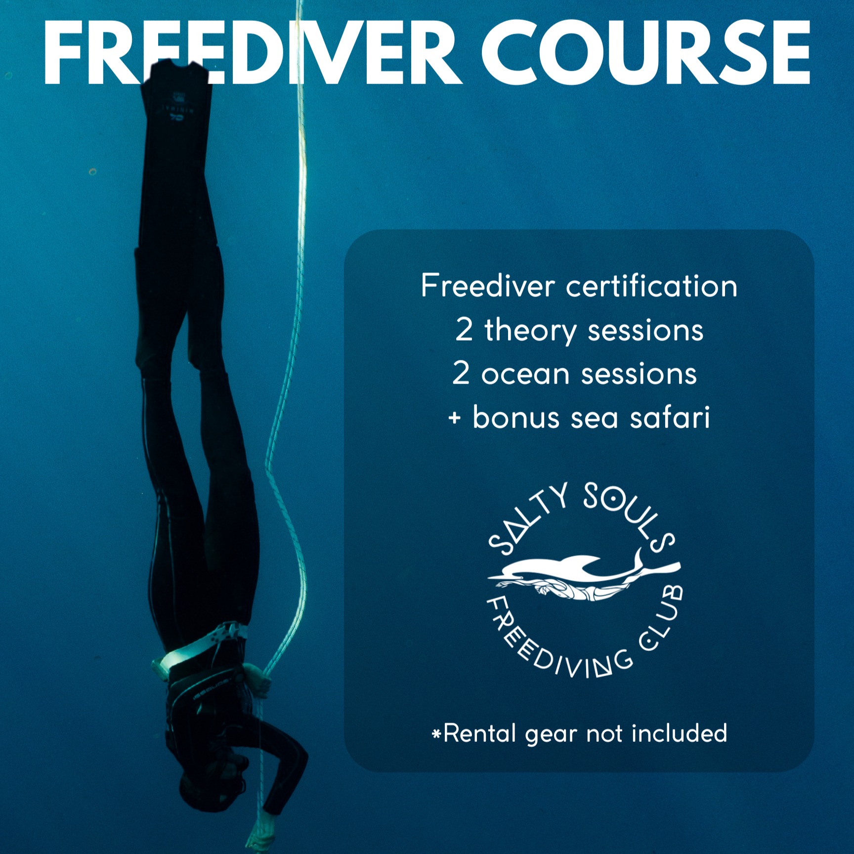FREEDIVER+CERTIFICATION+COURSE.png