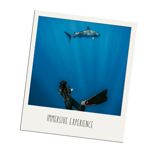 Scuba diver swimming near a shark in blue ocean water, labeled 'Immersive Experience'