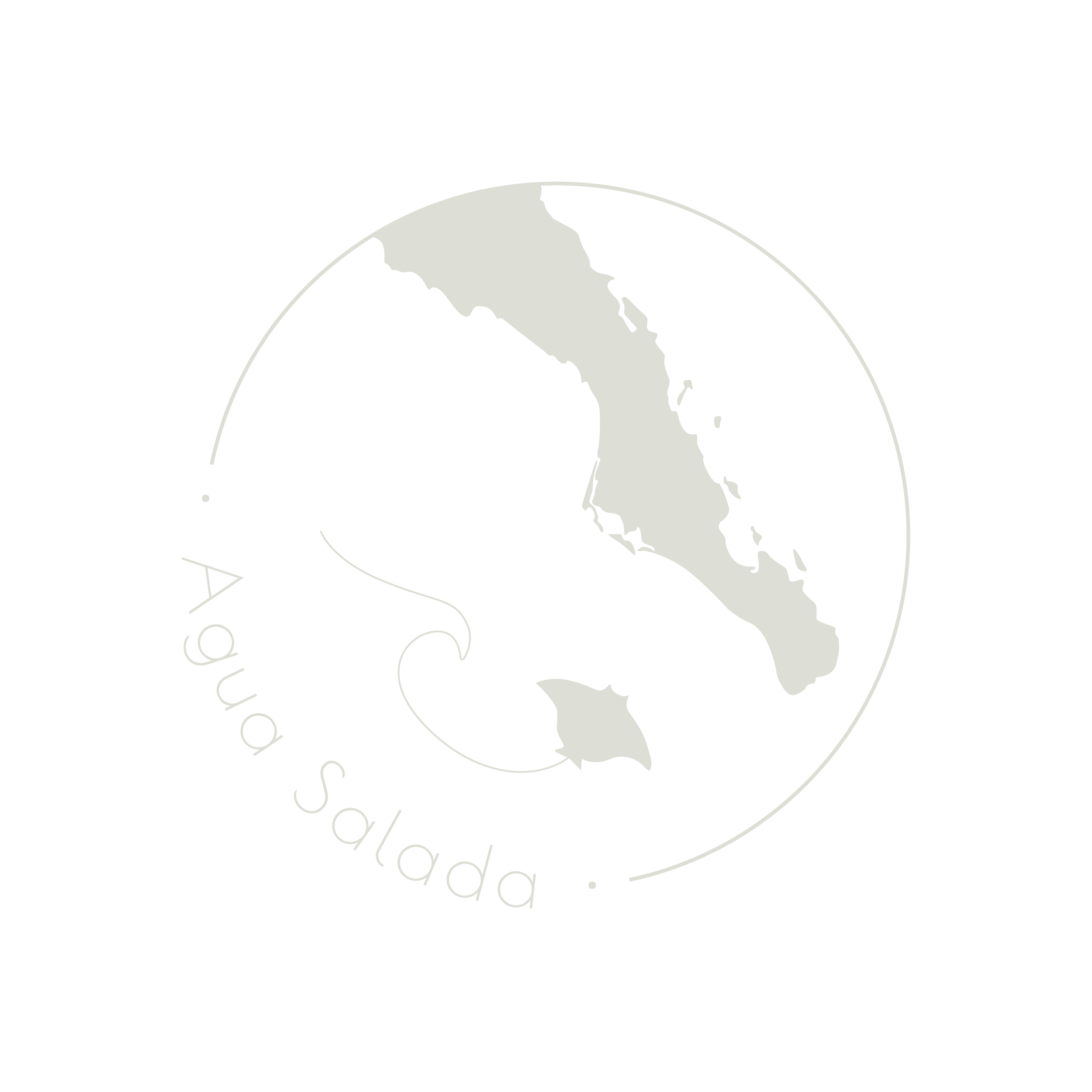 Logo with Baja California Peninsula outline and manta ray, text 'Agua Salada'