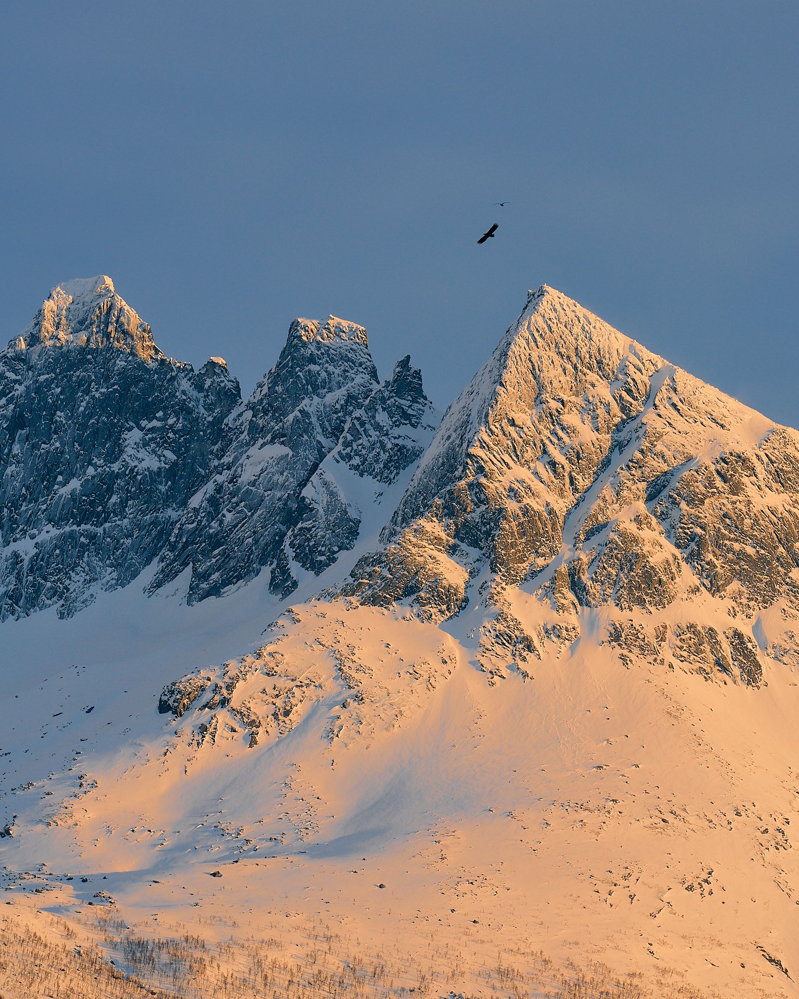 _DSC7800 2048 web.jpg