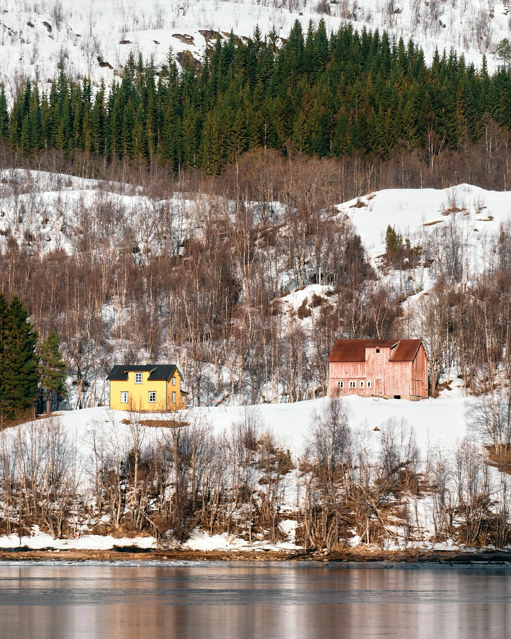 _DSC7485 edit 2048 web.jpg