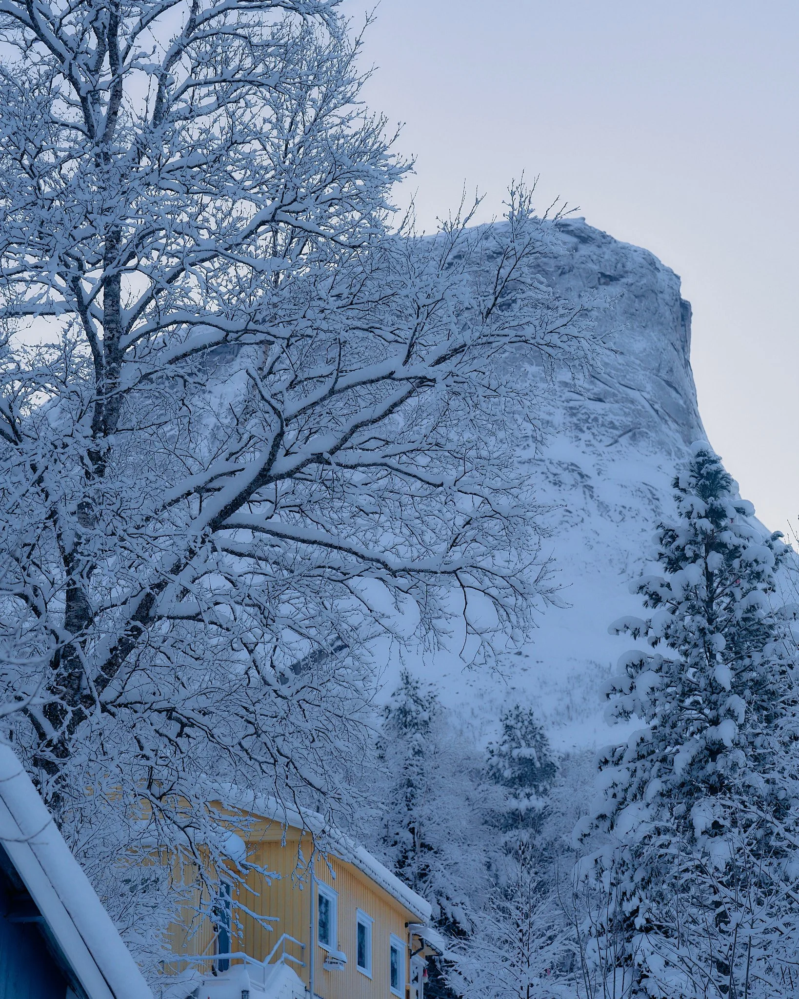 _DSC9412 2048 web.jpg