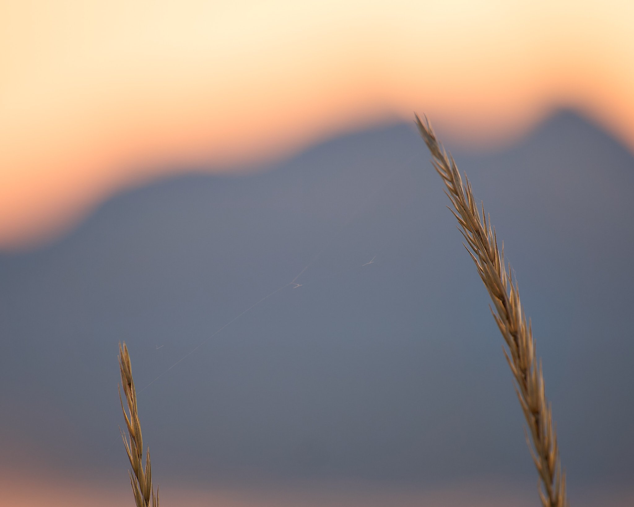 _DSC9893 2048 web.jpg