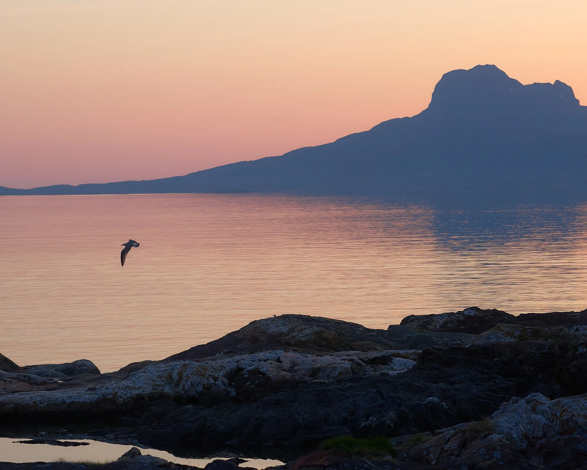 _DSC9892 2048 web.jpg