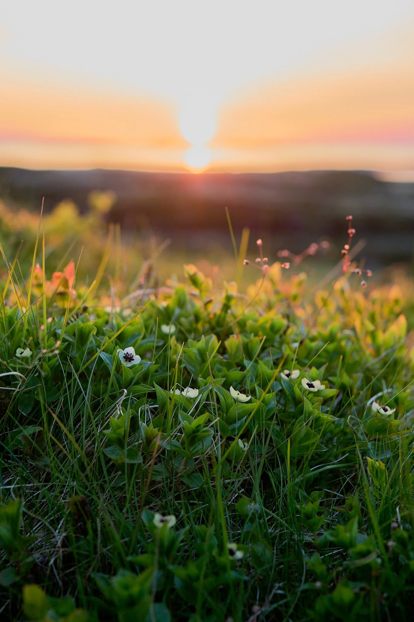 _DSC4920 2048 web.jpg