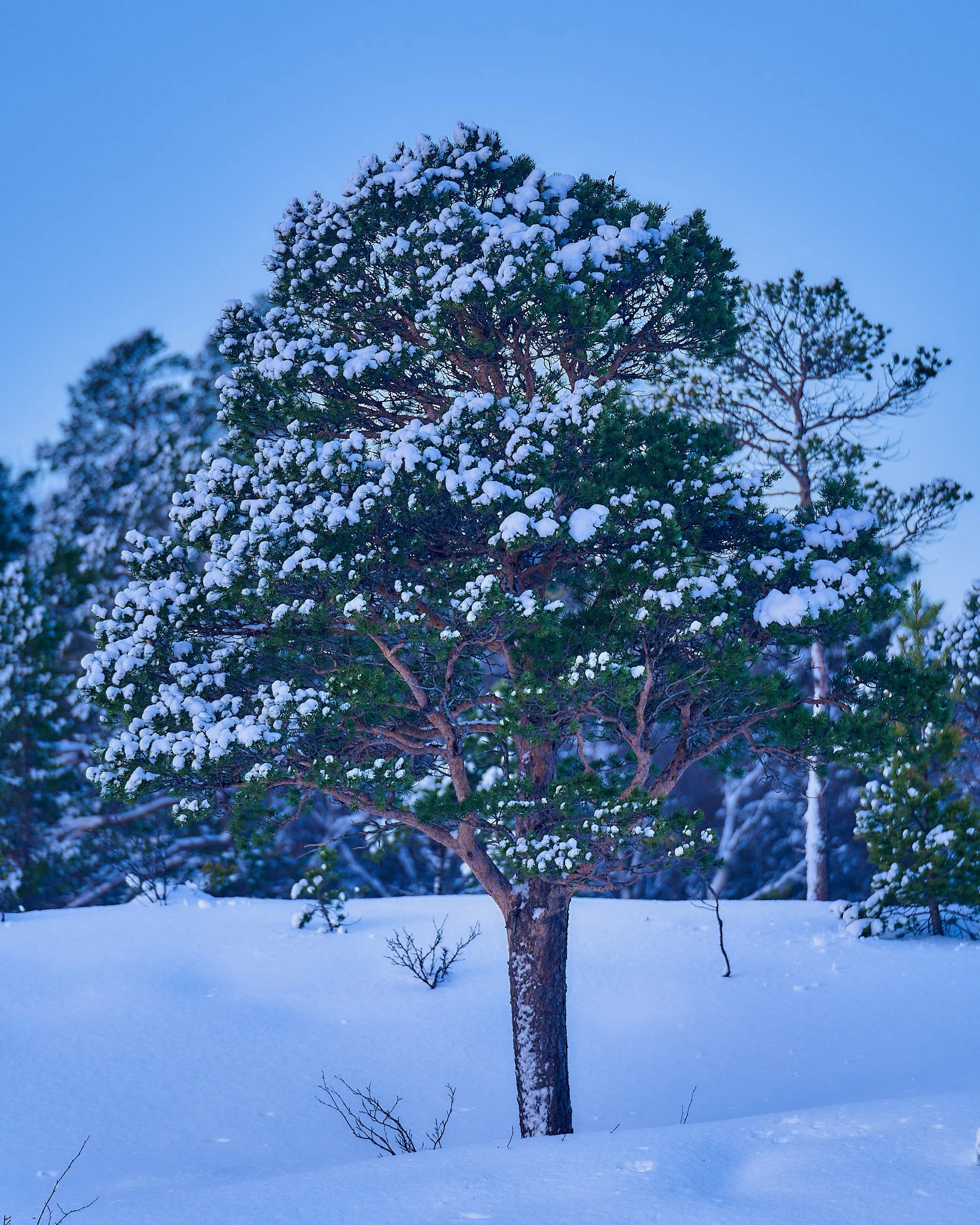 _DSC0221 2048 web.jpg