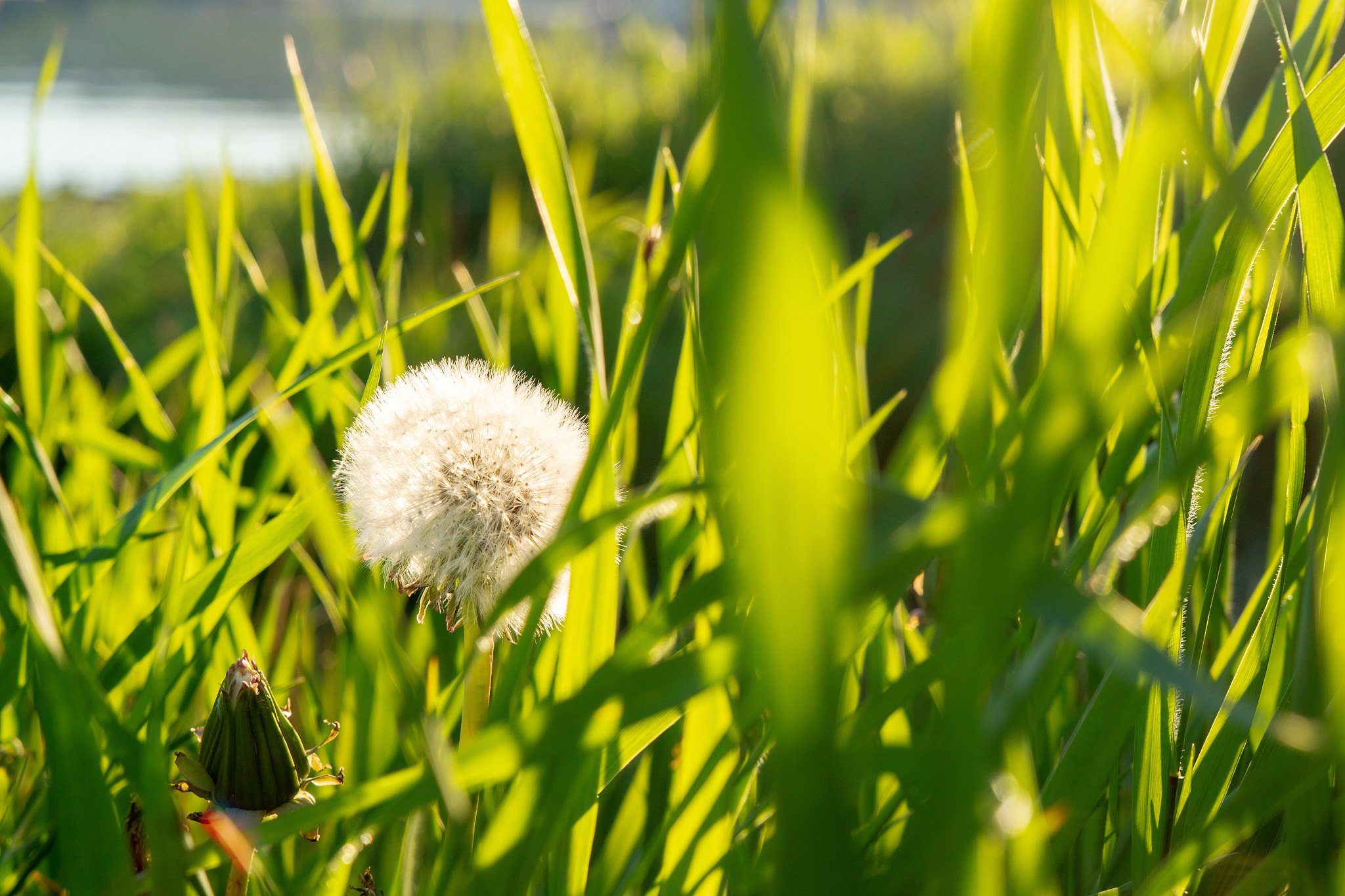 _DSC3410 2048 web.jpg