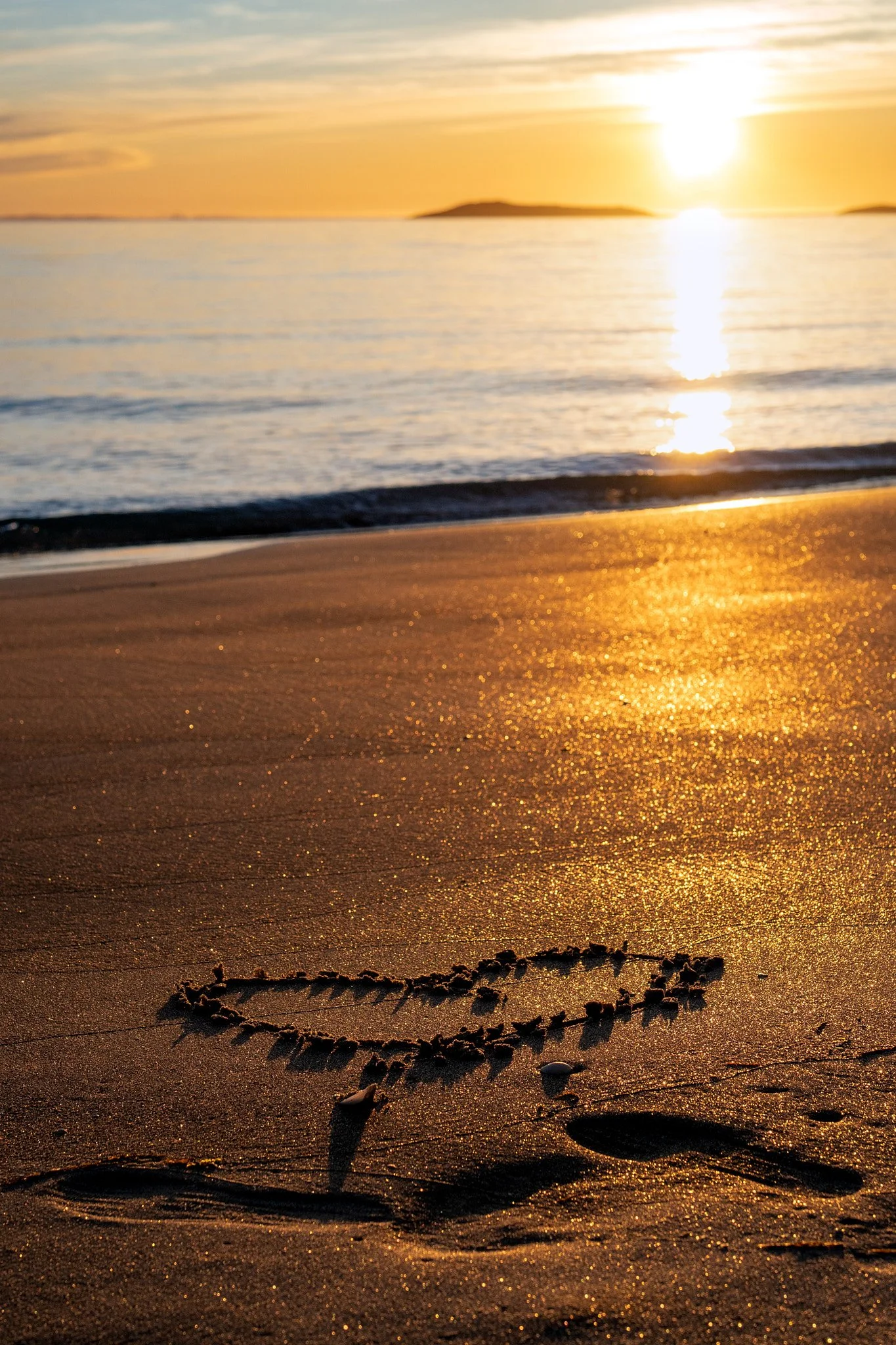 _DSC3479 2048 web.jpg