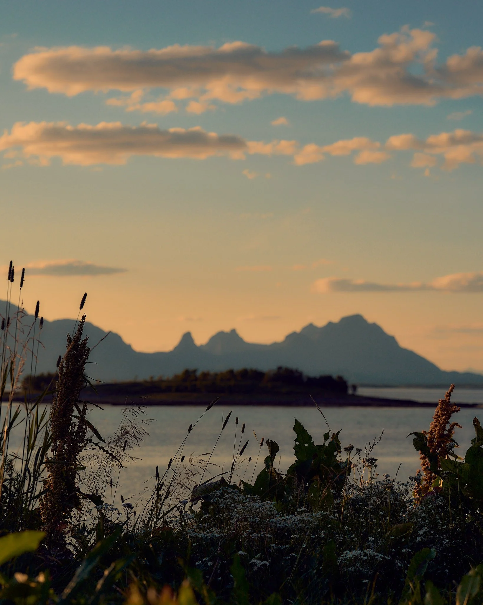 DSC01078 2048 web.jpg