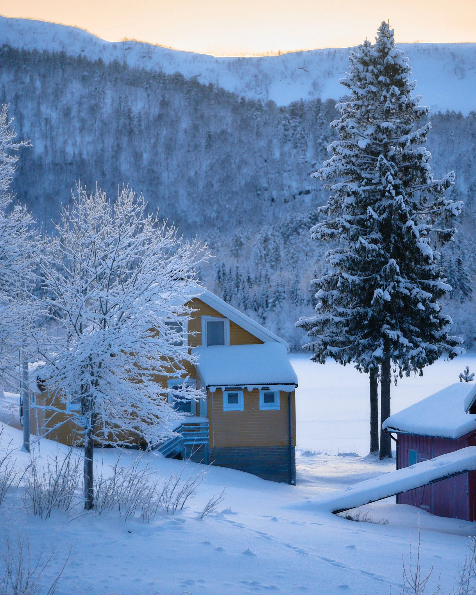 _DSC9597 2048 web.jpg