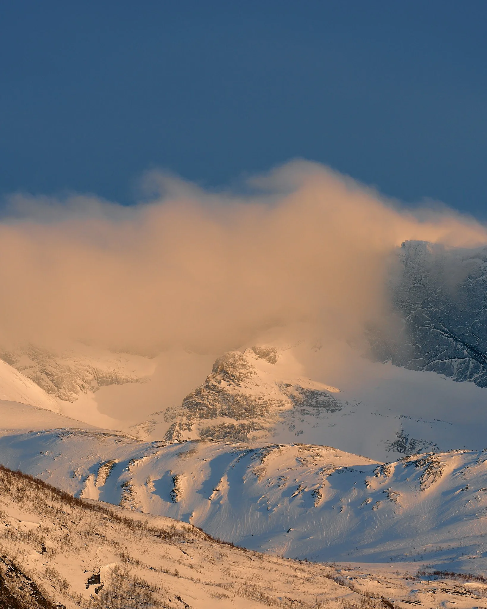 _DSC7781 2048 web.jpg