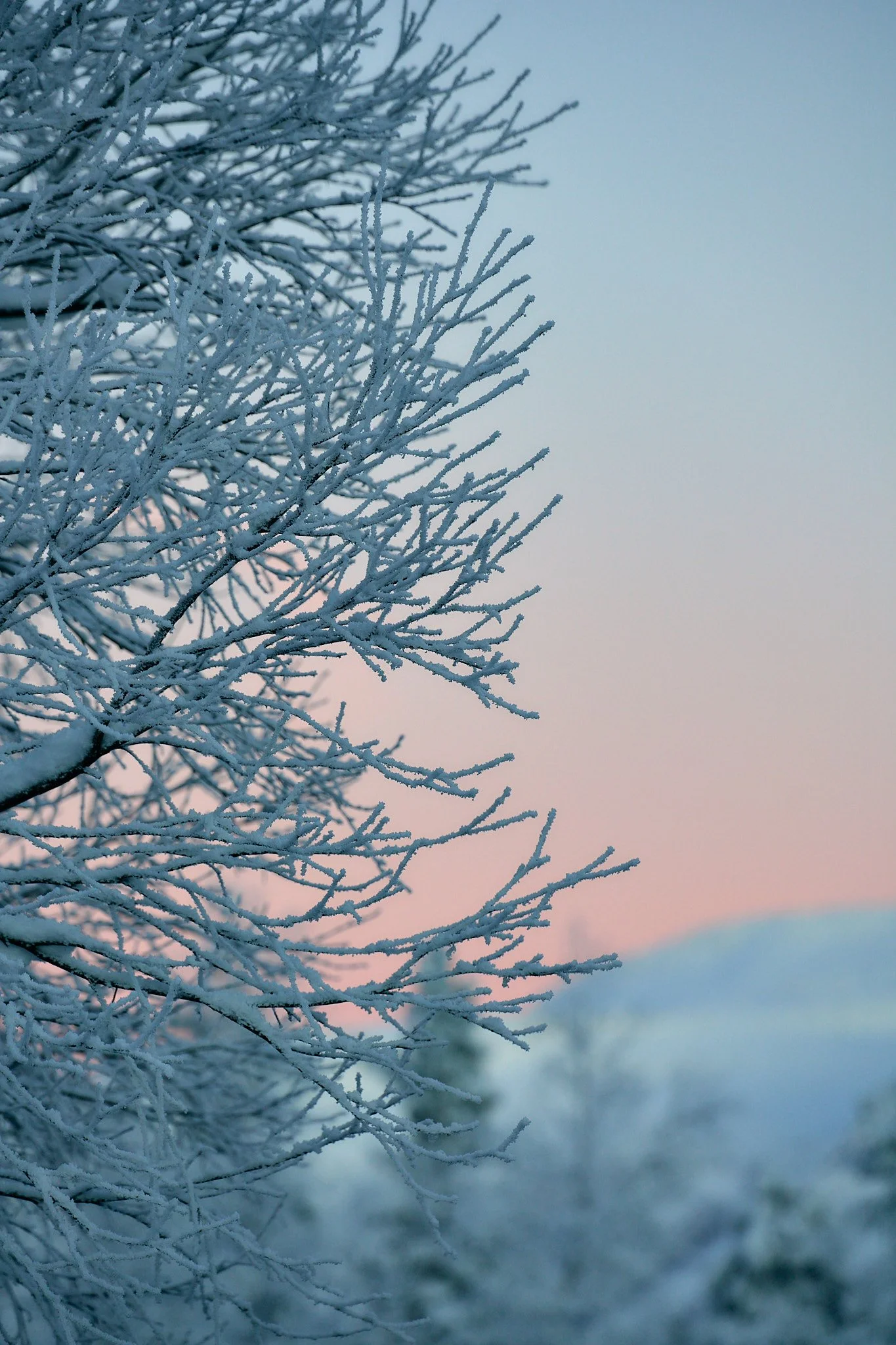 _DSC9385 2048 web.jpg